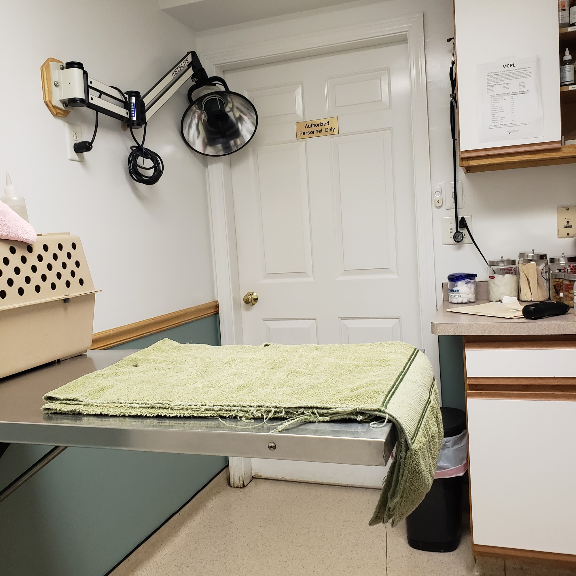 Killingworth Animal Hospital Killingworth