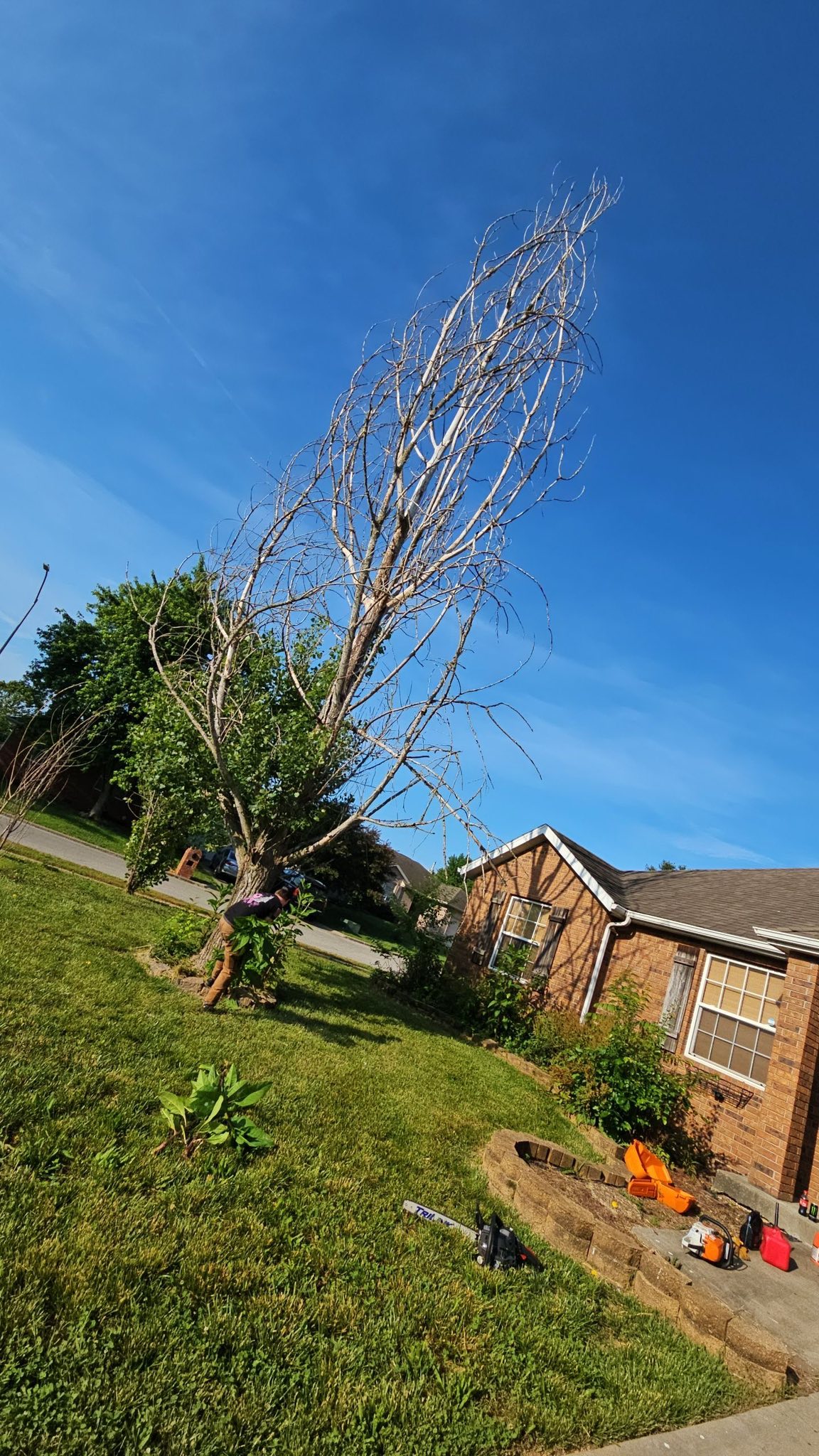 Good Old Boys Tree Services LLC 212 Norwich Ave, Lebanon Connecticut 06249