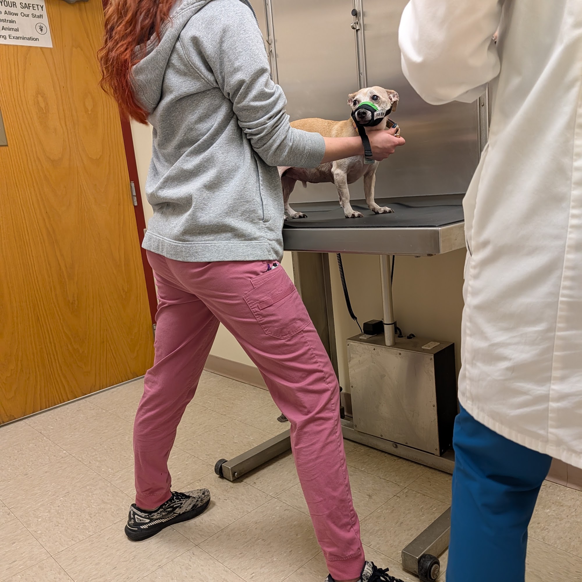 Northwest Corner Veterinary Hospital Litchfield