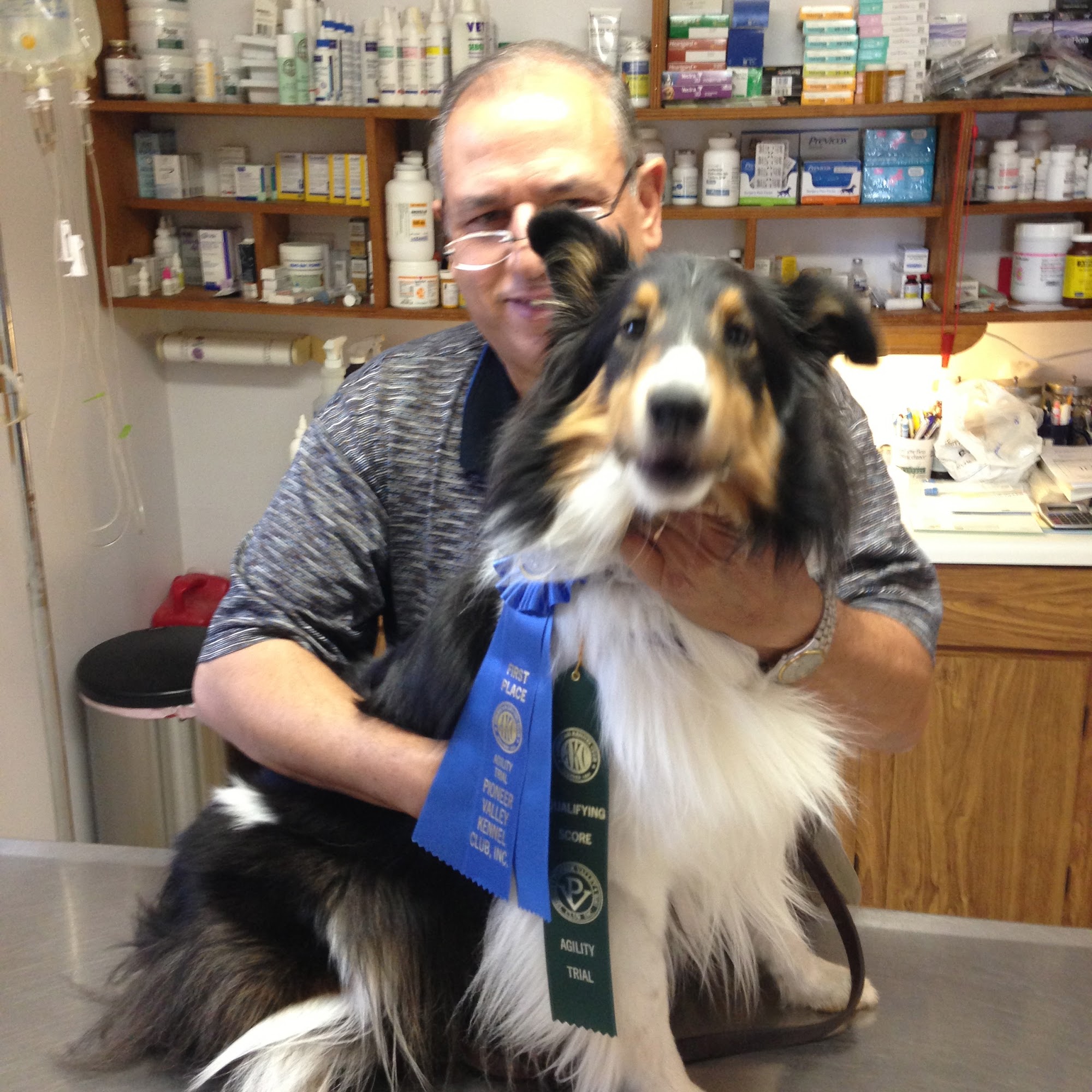 Hammonasset Animal Clinic Madison