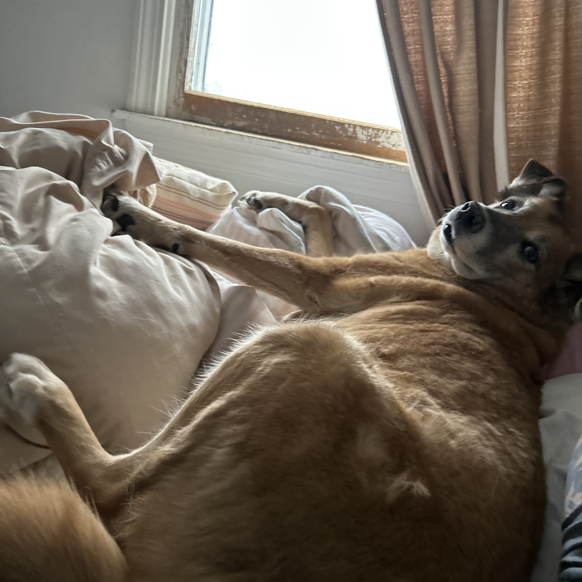 Manchester Veterinary Clinic Manchester