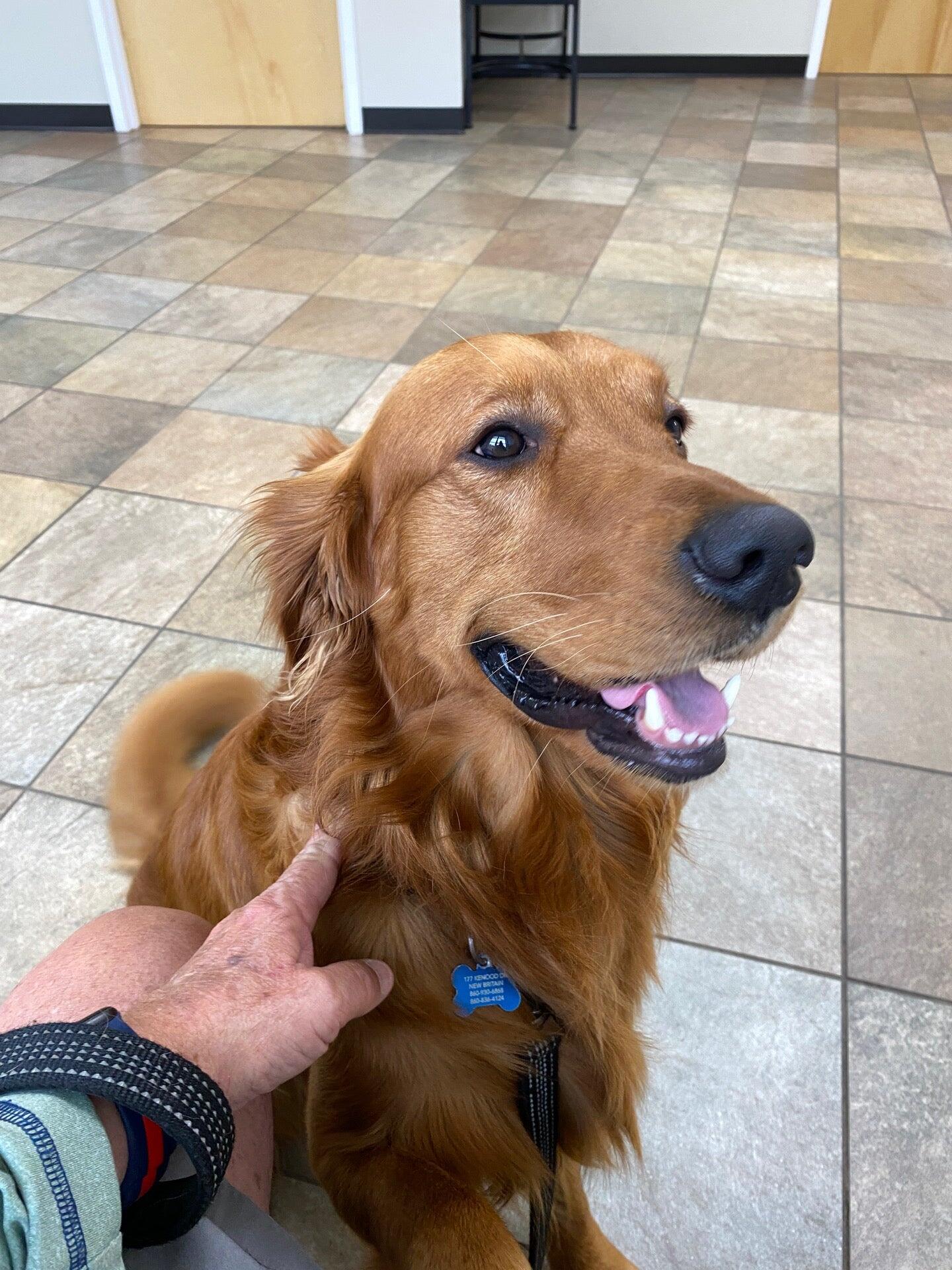 Pieper-Olson Veterinary Hospital Middletown