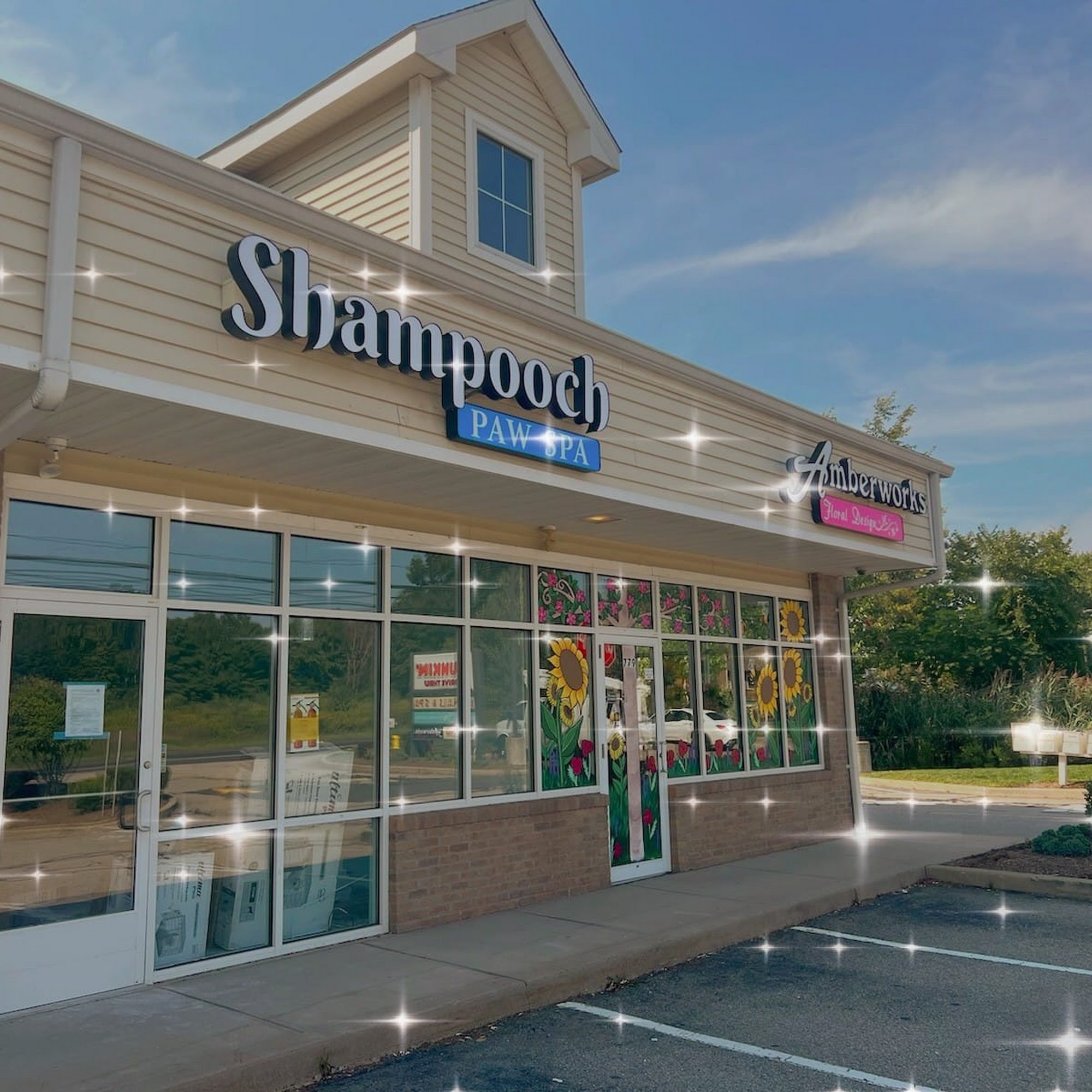Shampooch Paw Spa Middletown