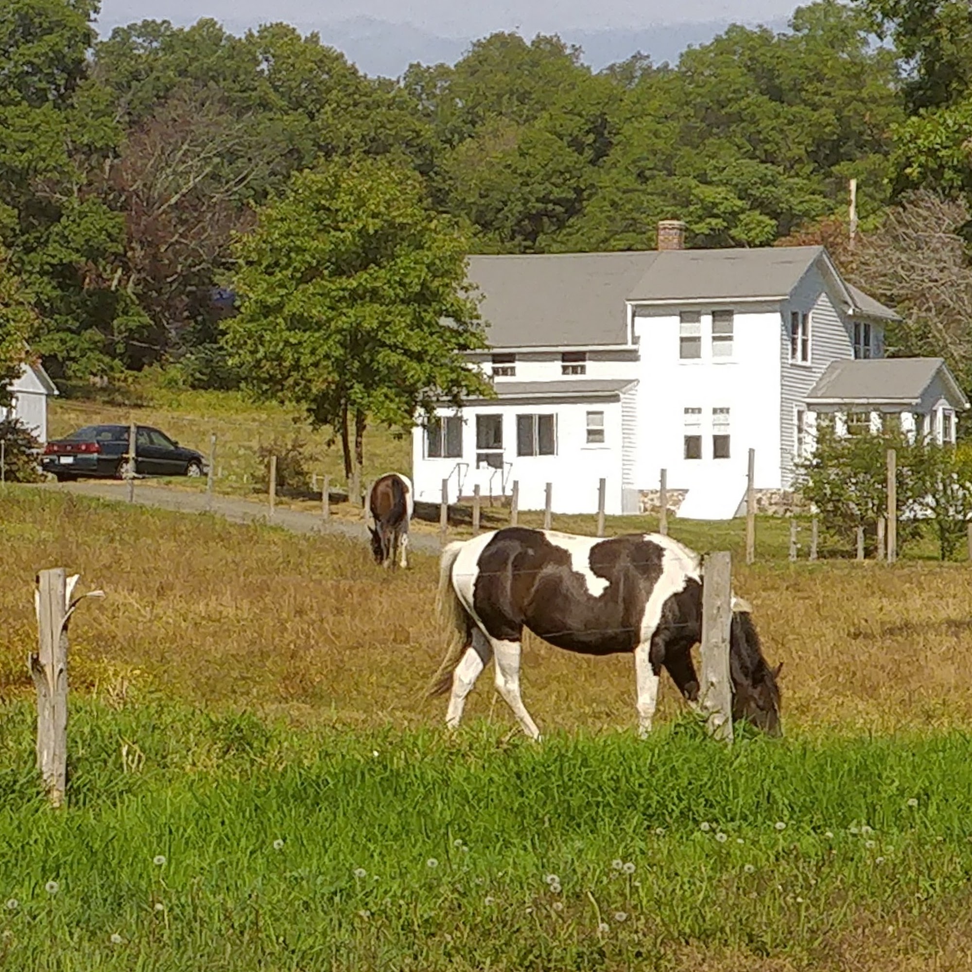 Higgins Farm Inc Middletown