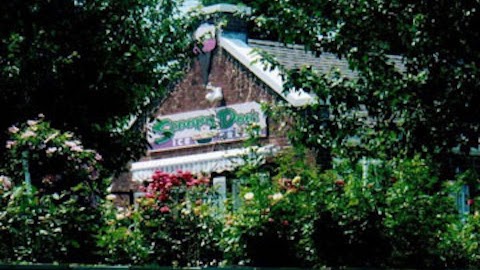 Scoopy Doo's Milford