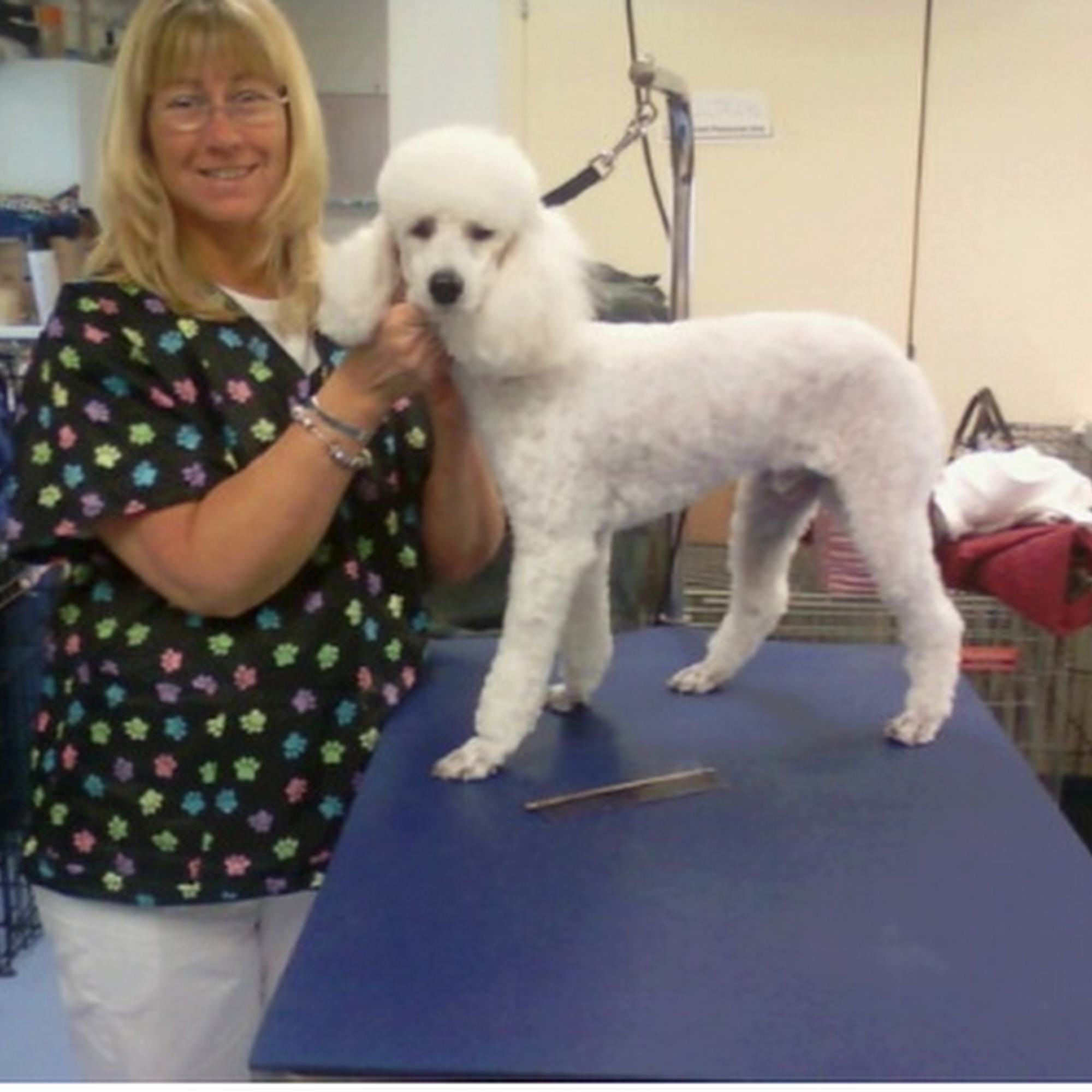 Baybrook Grooming, LLC