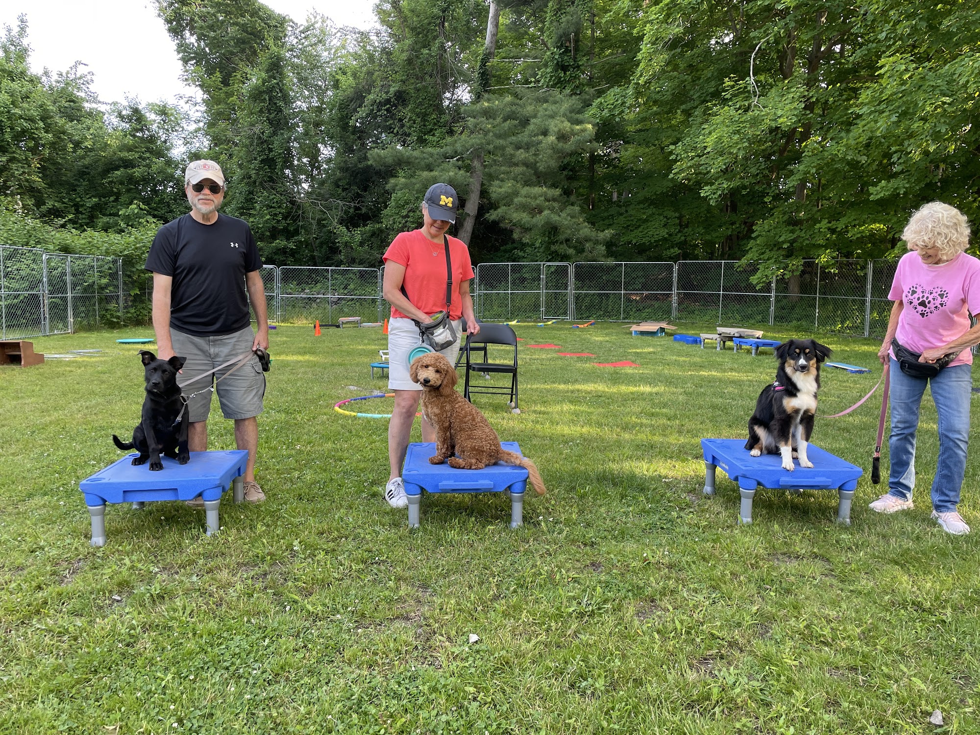 All That Canine LLC Monroe