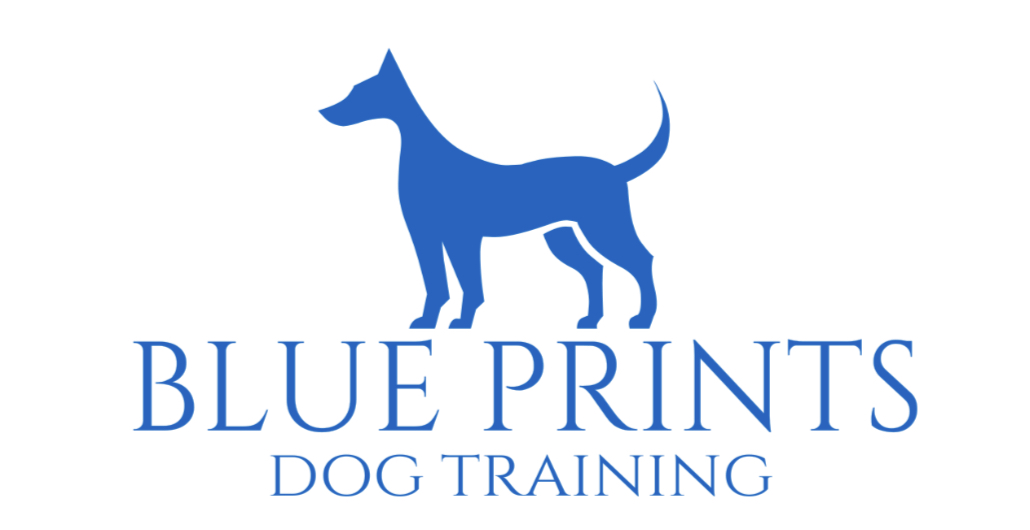 Blue Prints Dog Training Mystic