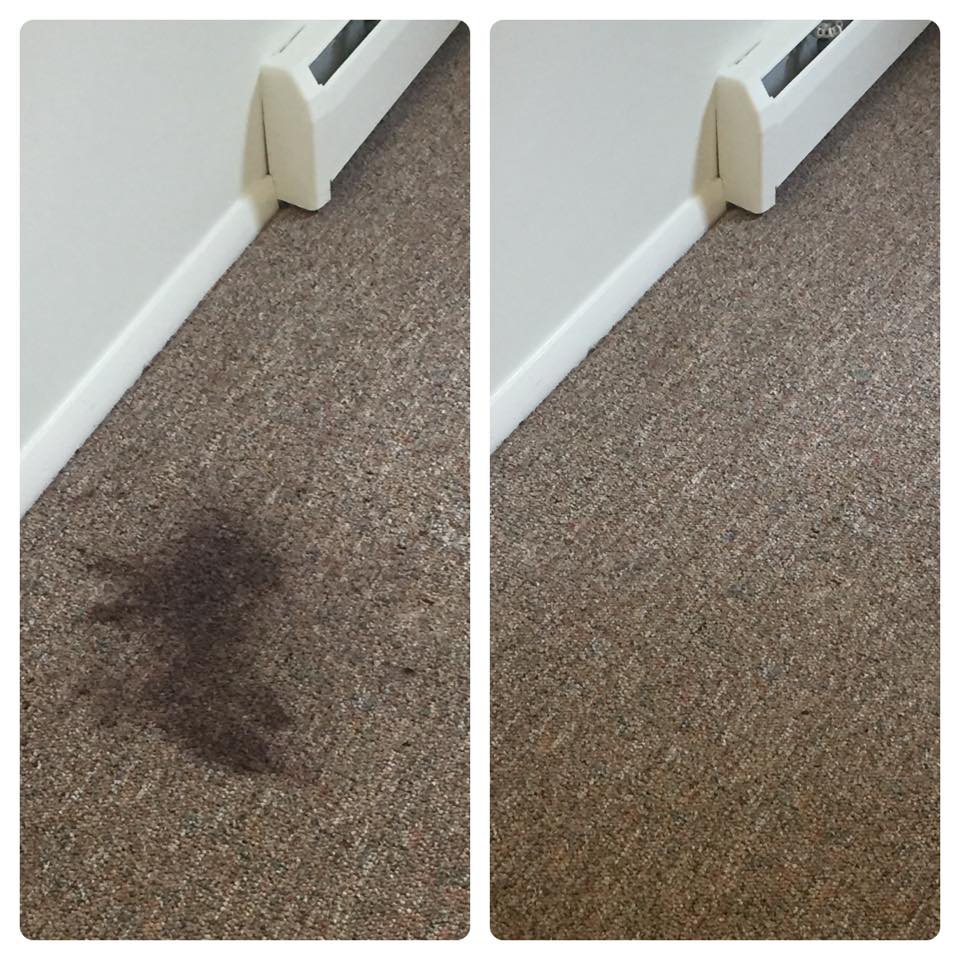 The Carpet Doctor