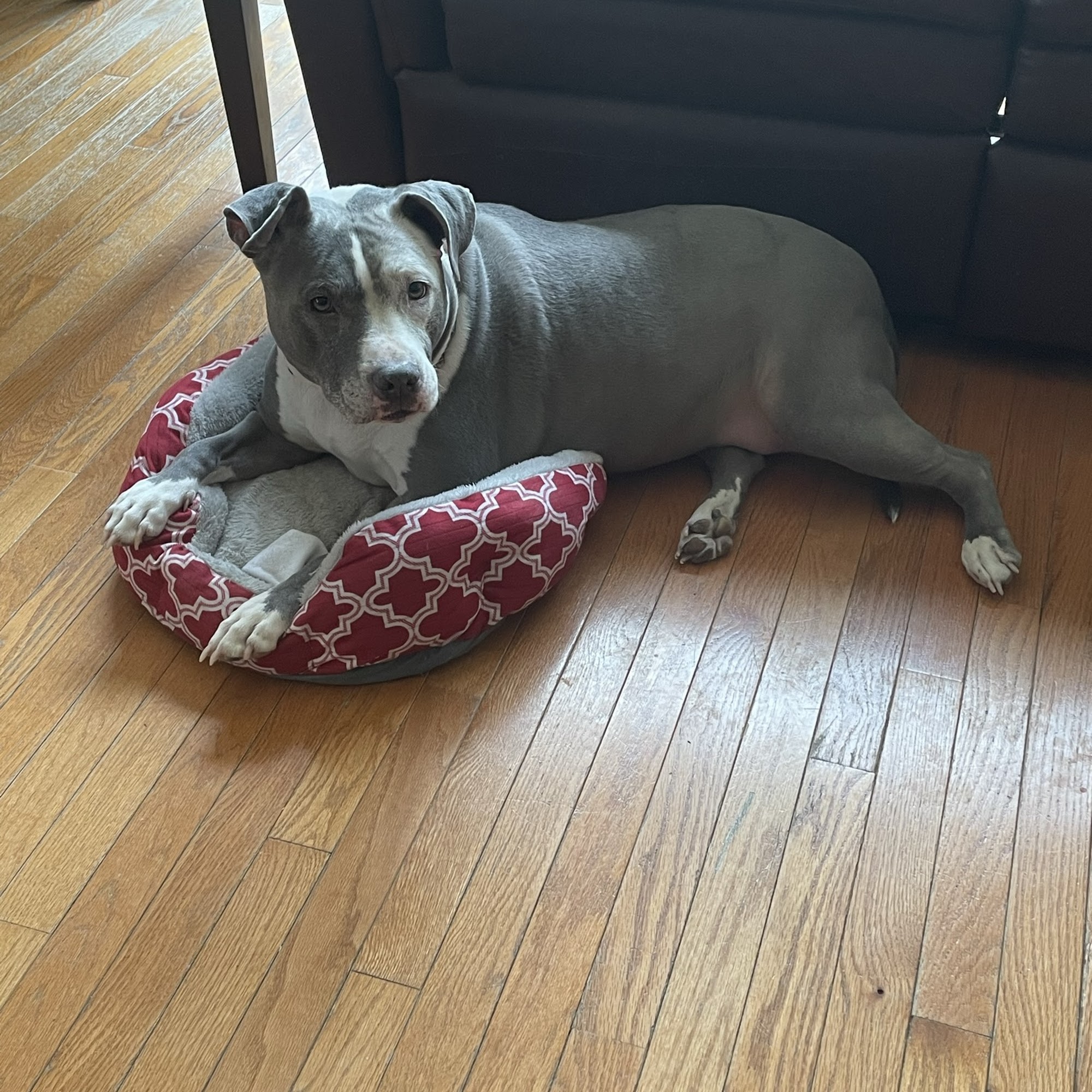 Fieldstone Veterinary Care New Fairfield