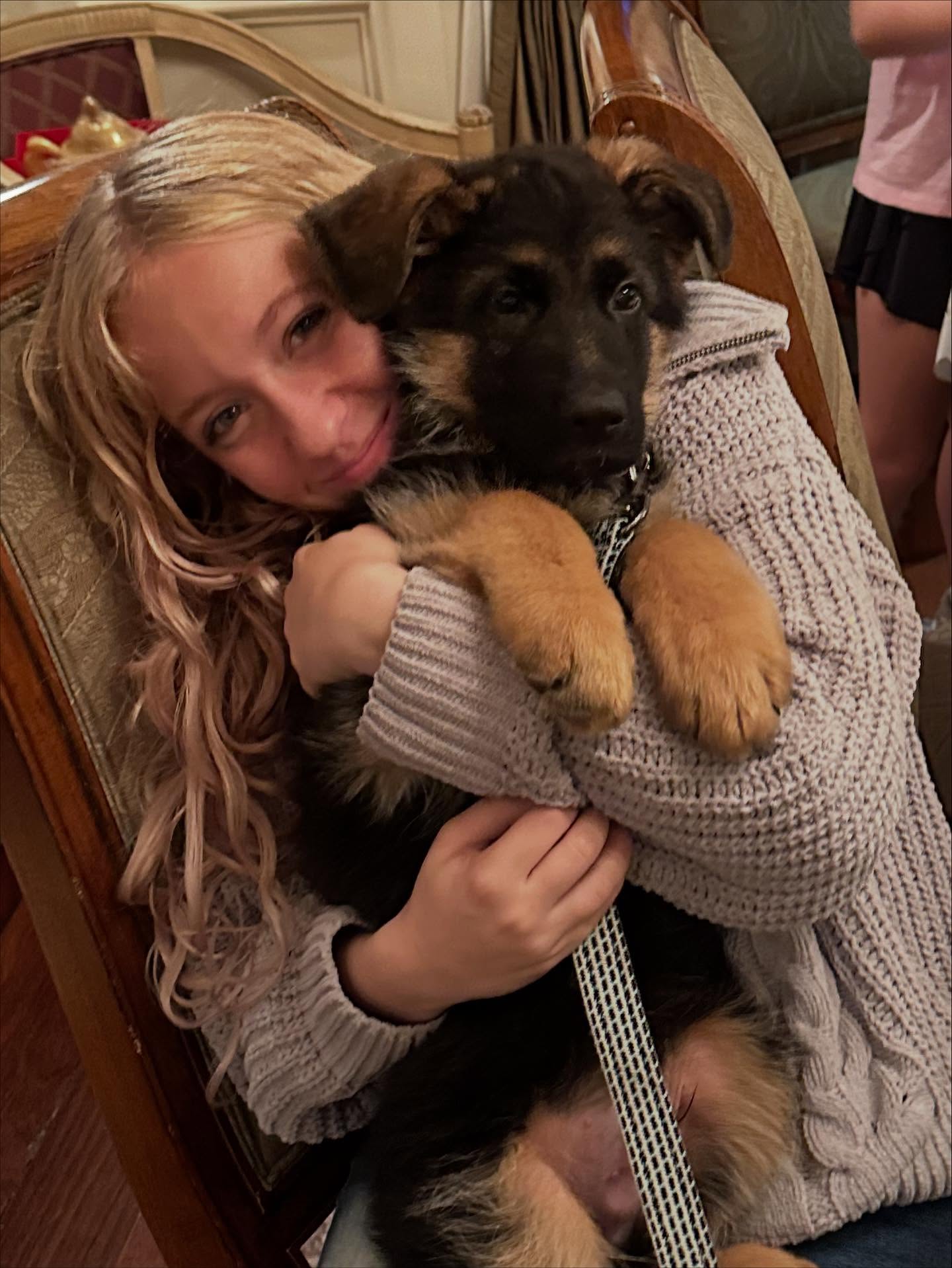 Wilhendorf Kennel-German Shepherds New Milford