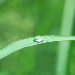 Chemessence Inc New Milford