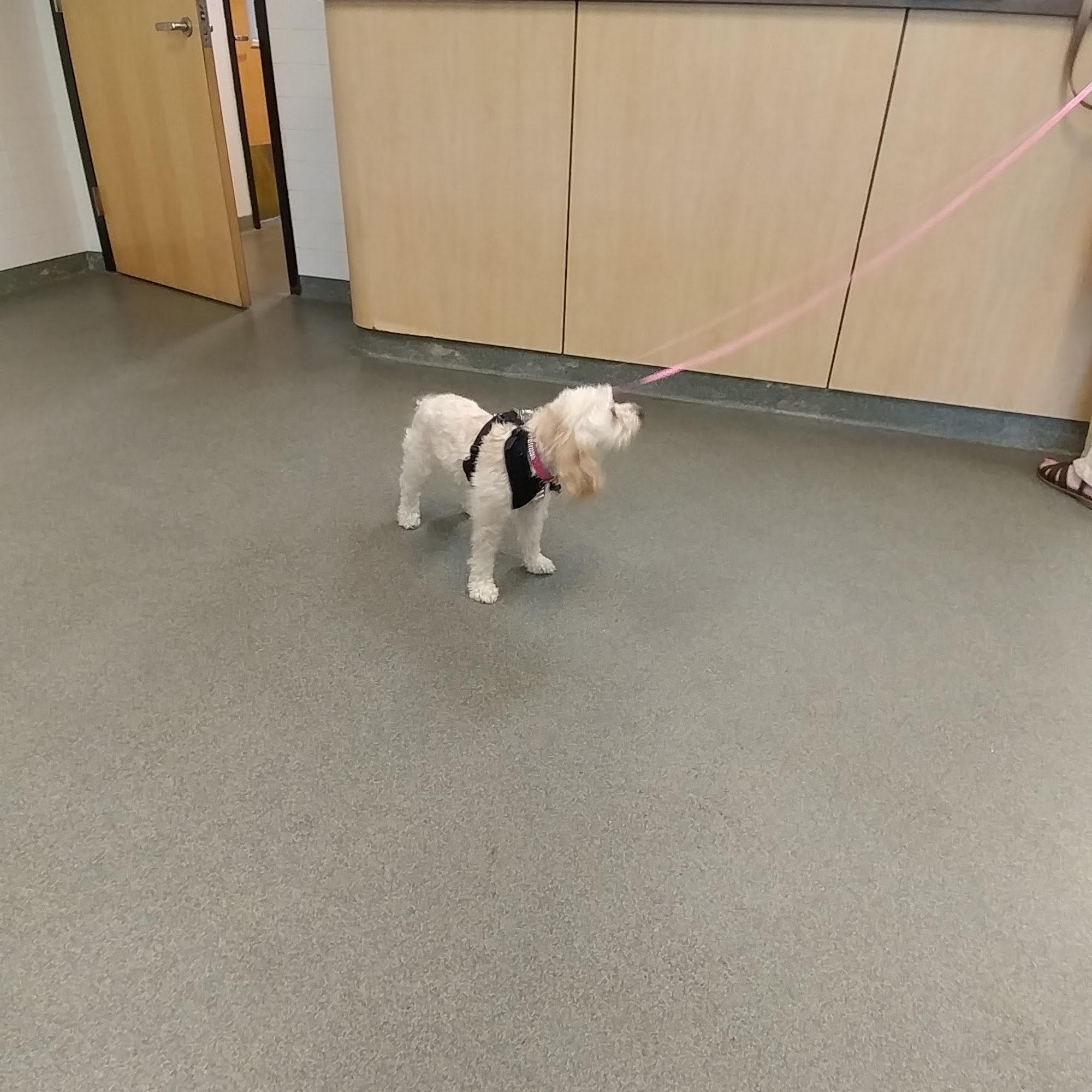 Fox Memorial Clinic Newington