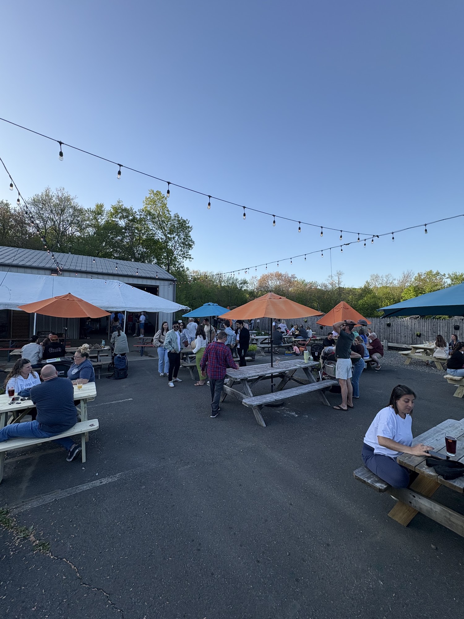 Reverie Brewing Company Menu