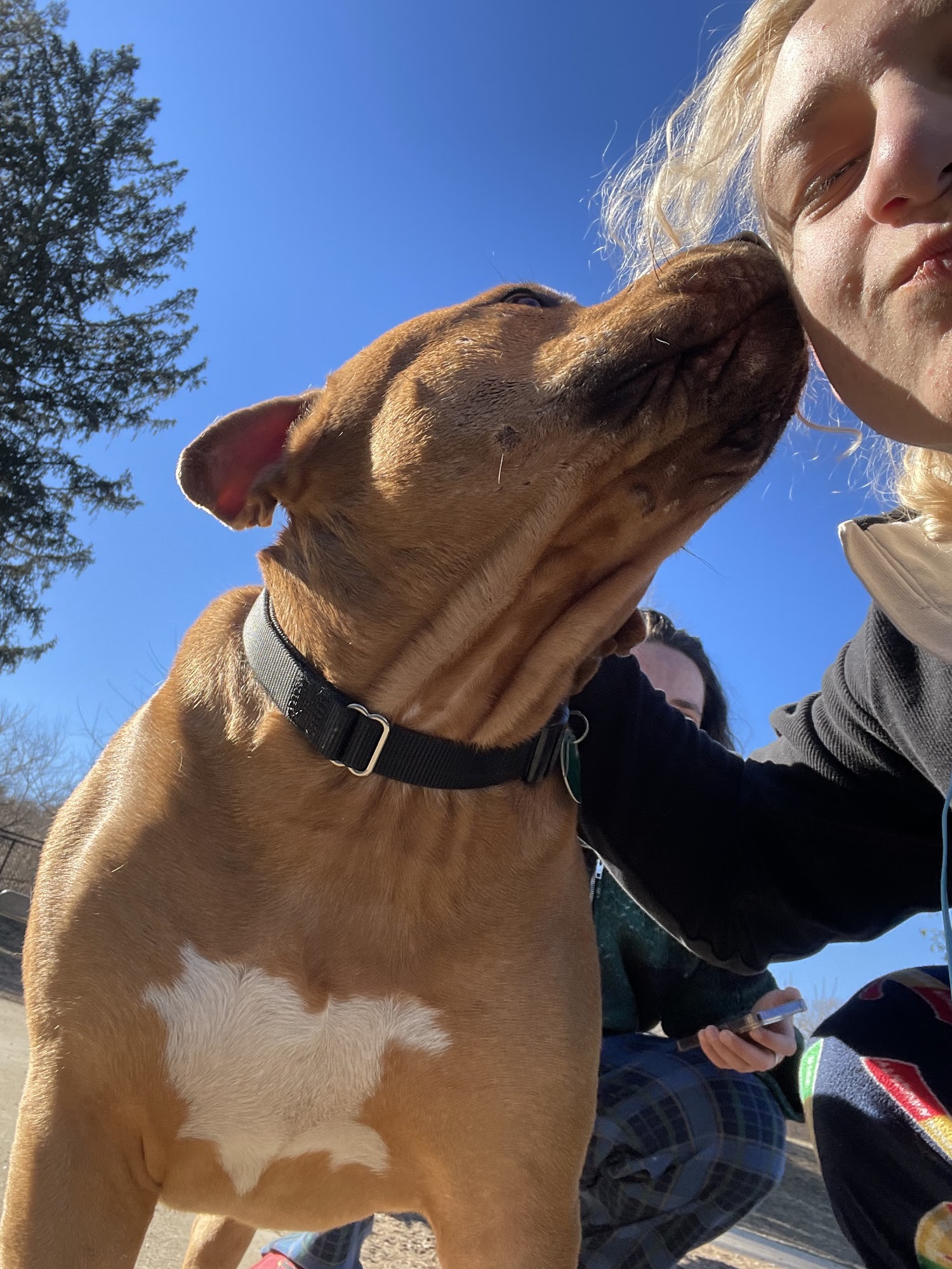 Newtown Park & Bark Newtown