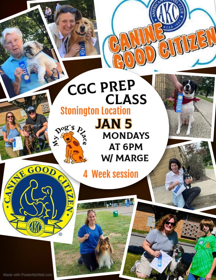 My Dog's Place LLC Niantic