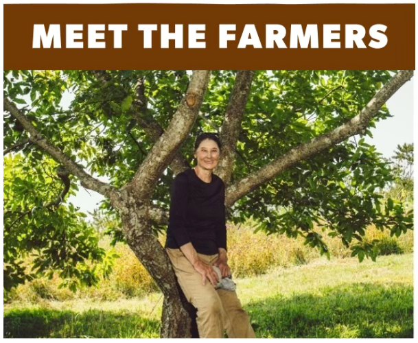 Autumn Harvest Orchard LLC 879 Winchester Rd, Norfolk