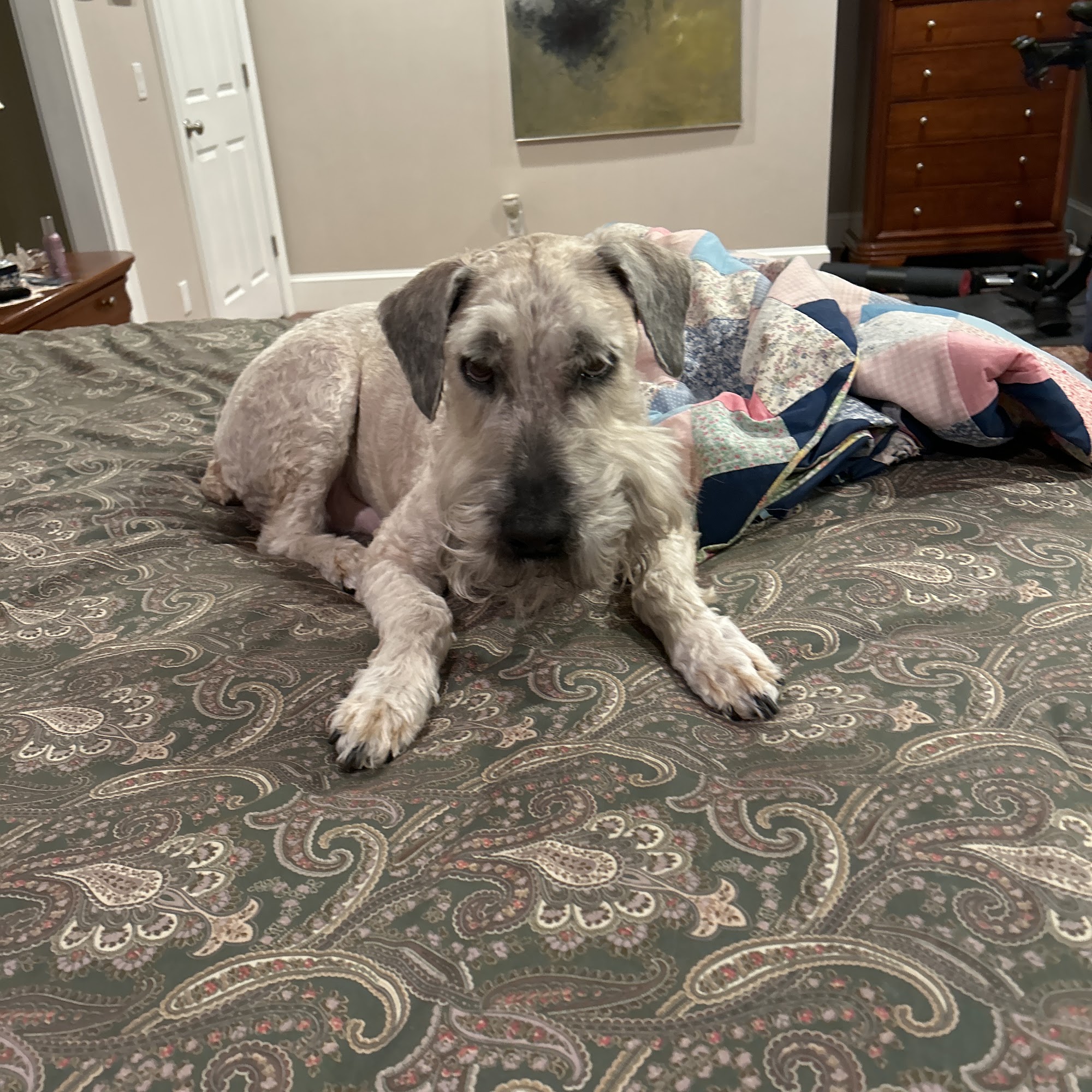 Scott's Kennels North Stonington