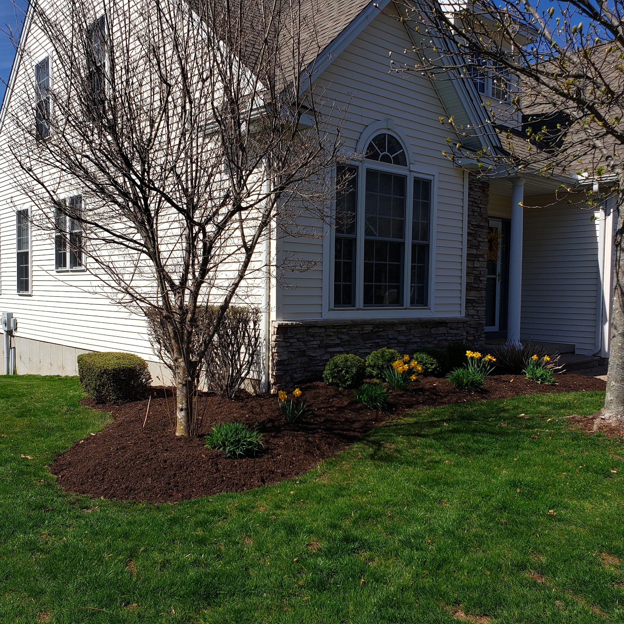 Torino Services Northford