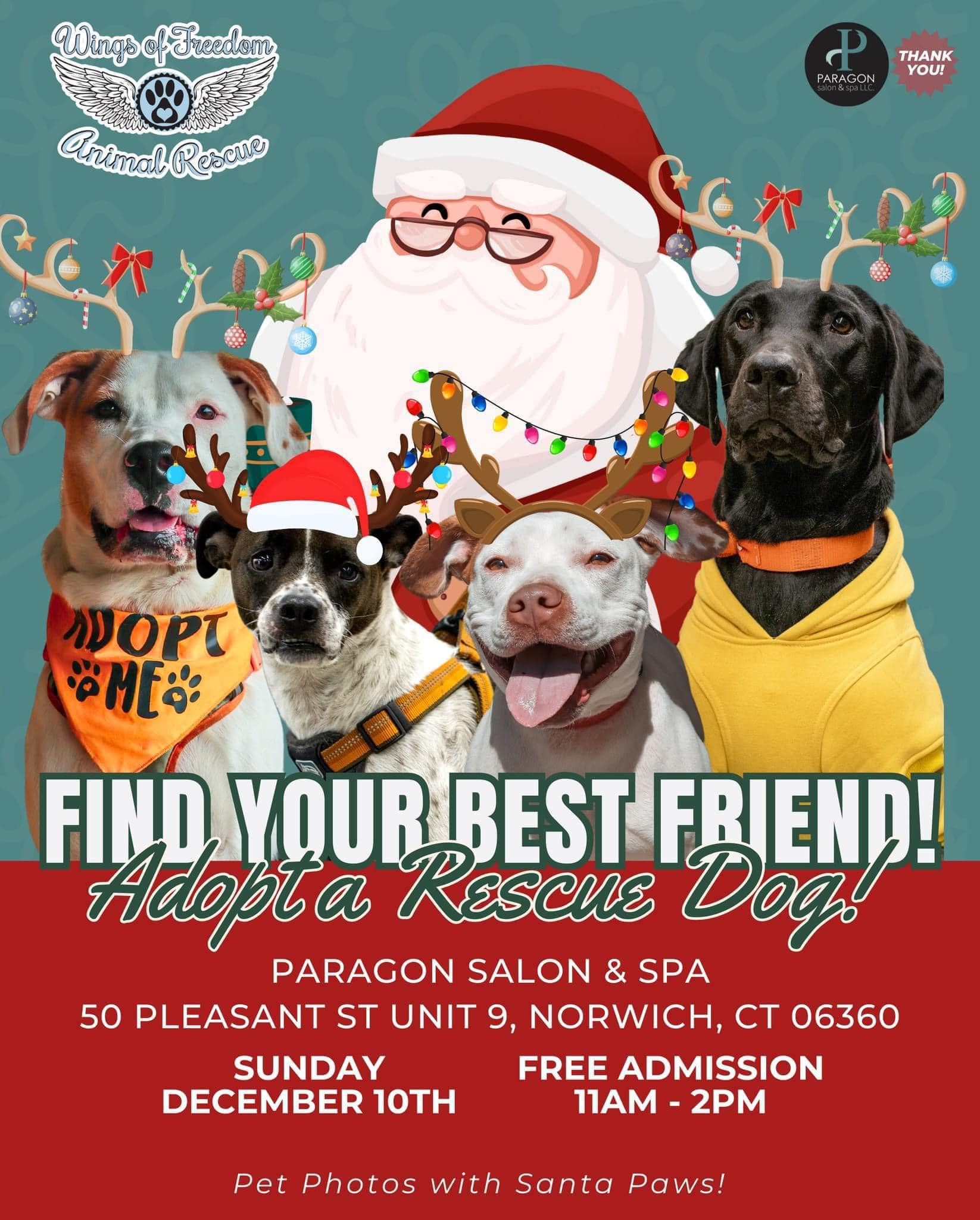 Internal Medicine Group LLC