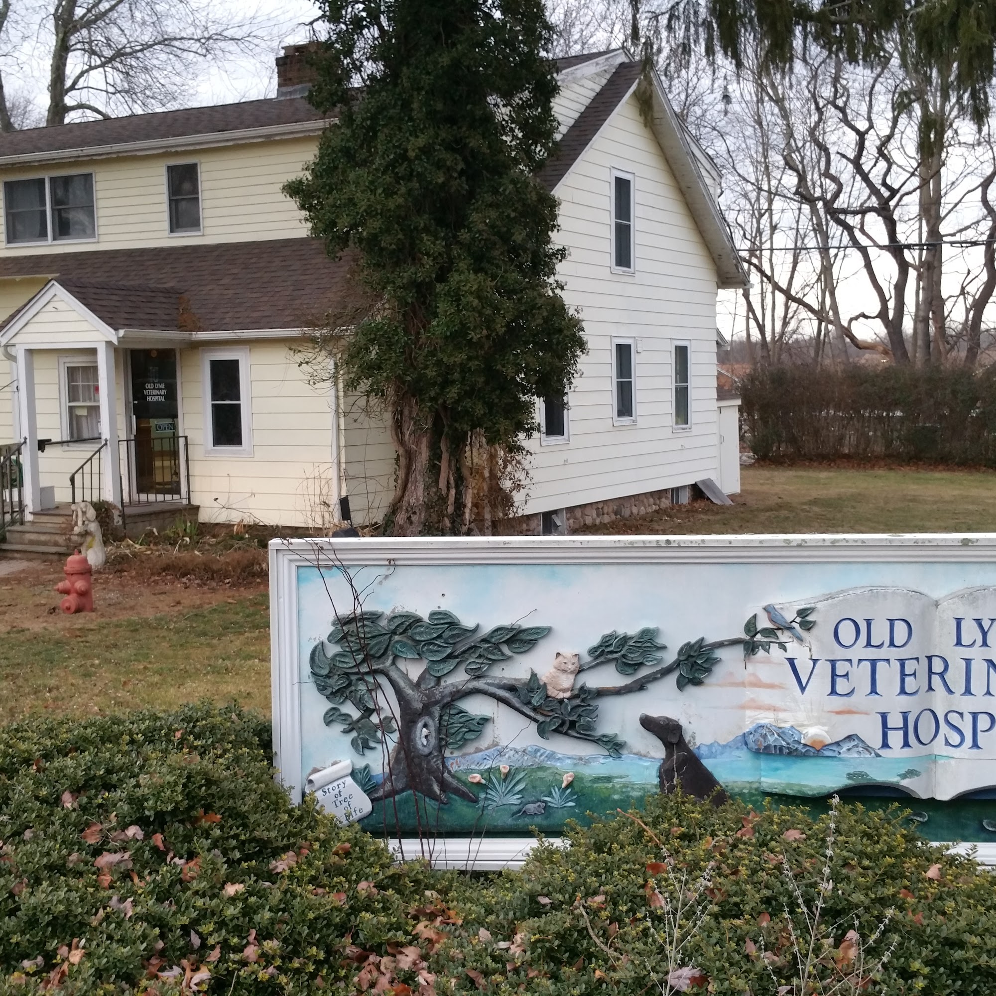 Old Lyme Veterinary Hospital Old Lyme