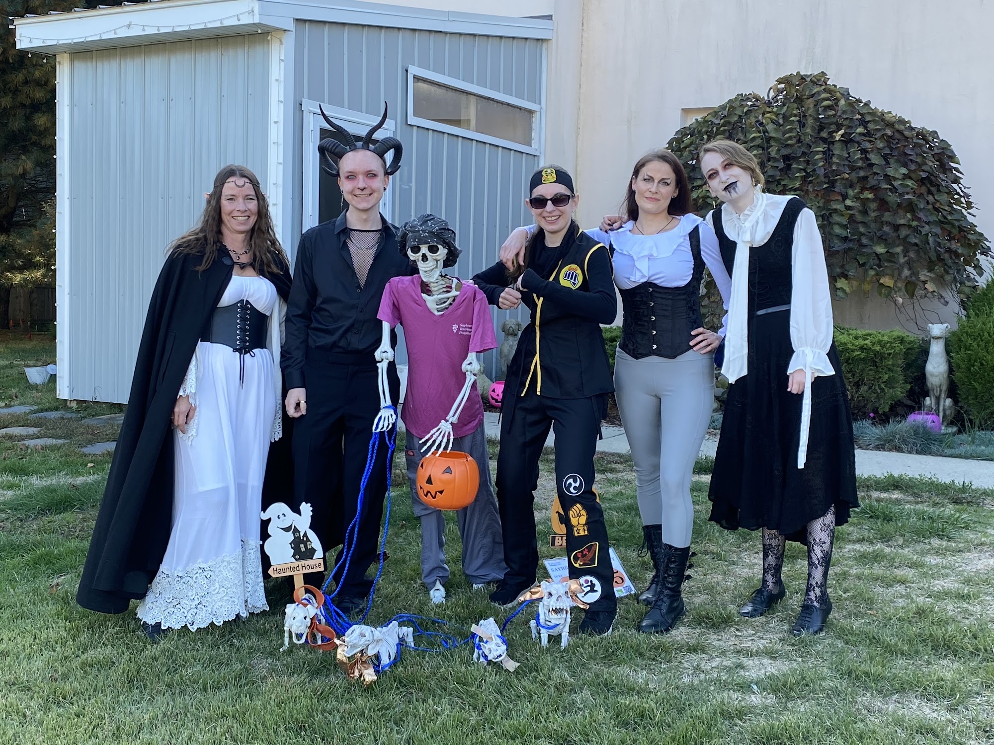 Saybrook Veterinary Hospital Old Saybrook