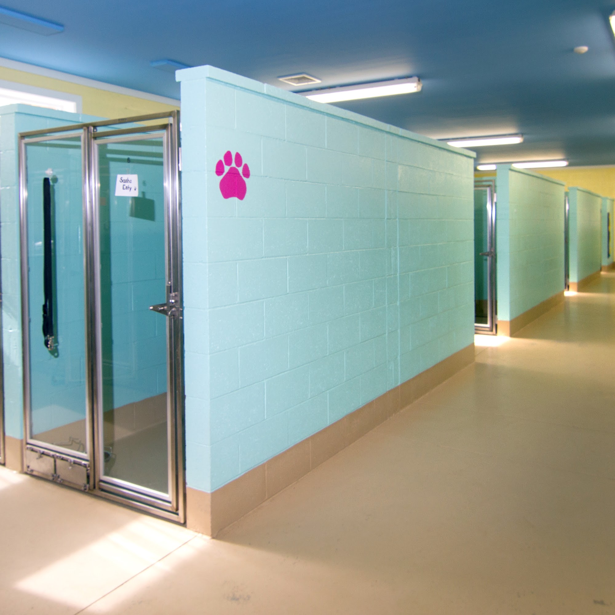 Animal Hospital of Old Saybrook Old Saybrook