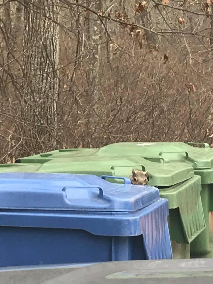 Photo credit: nextdoor