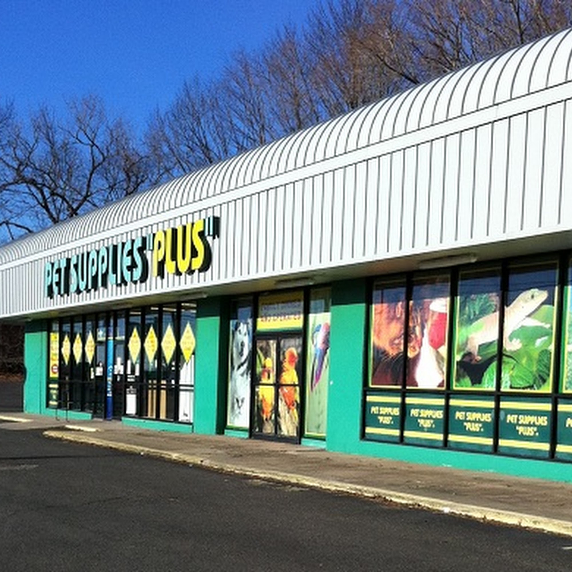 Pet Supplies Plus Orange Orange