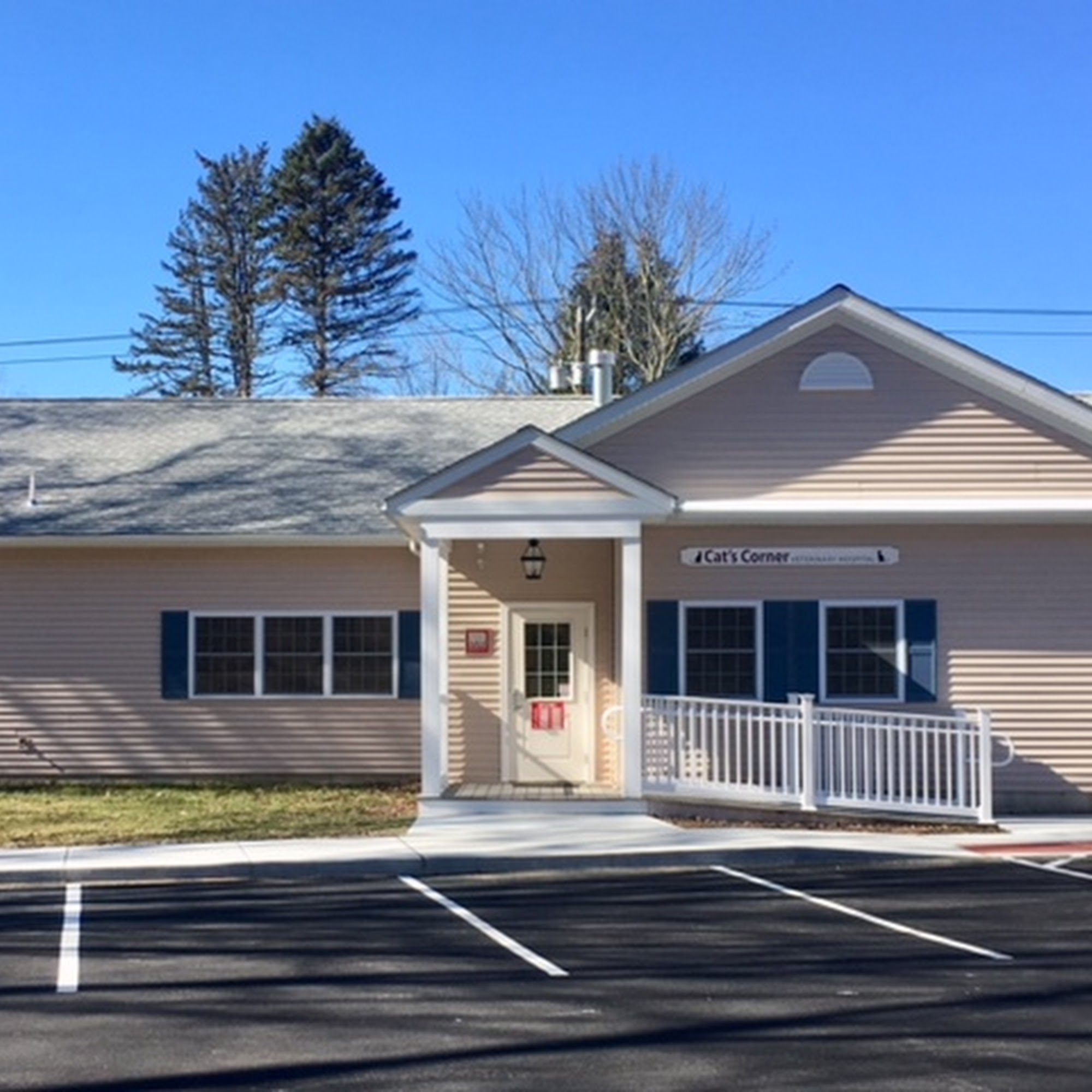 Cat's Corner Veterinary Hospital Oxford