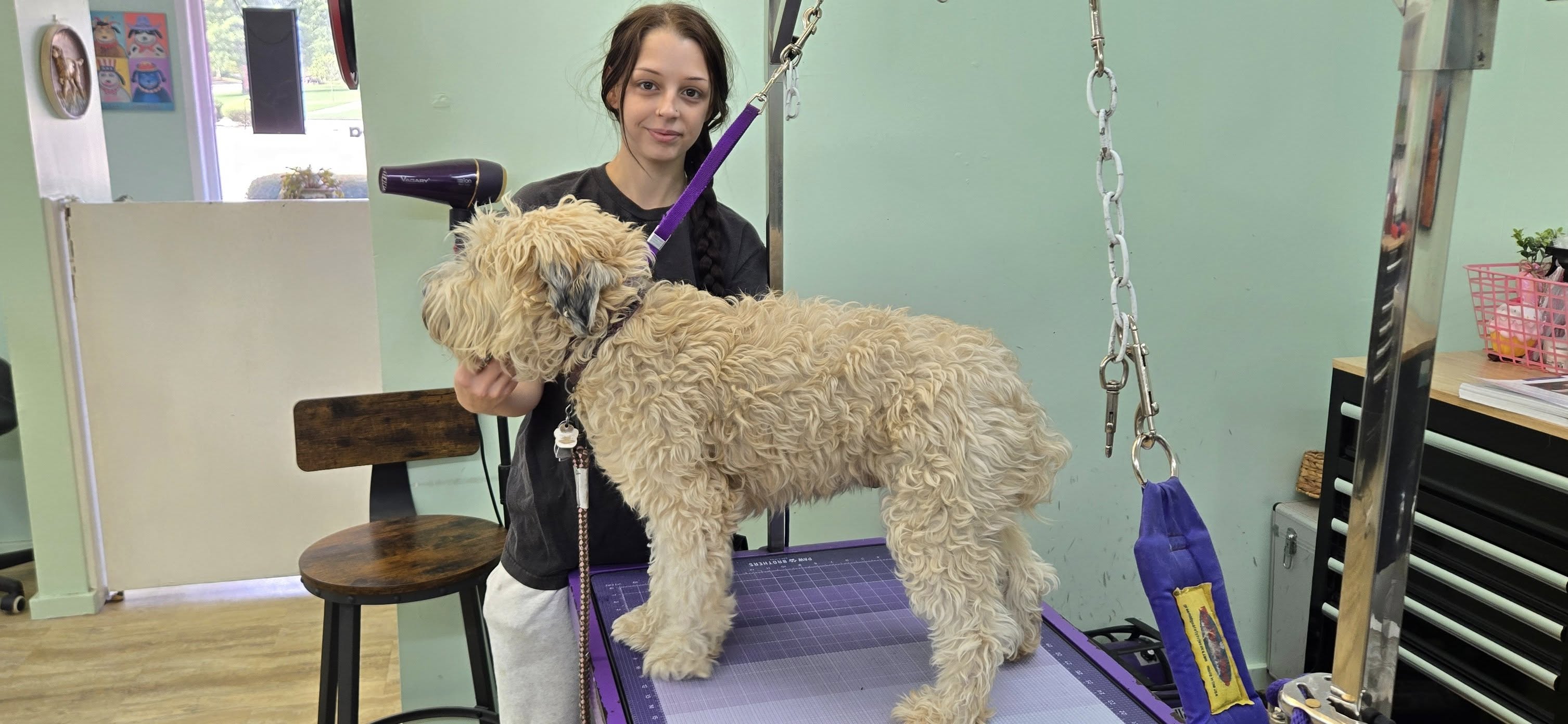 Bark Place LLC Pawcatuck