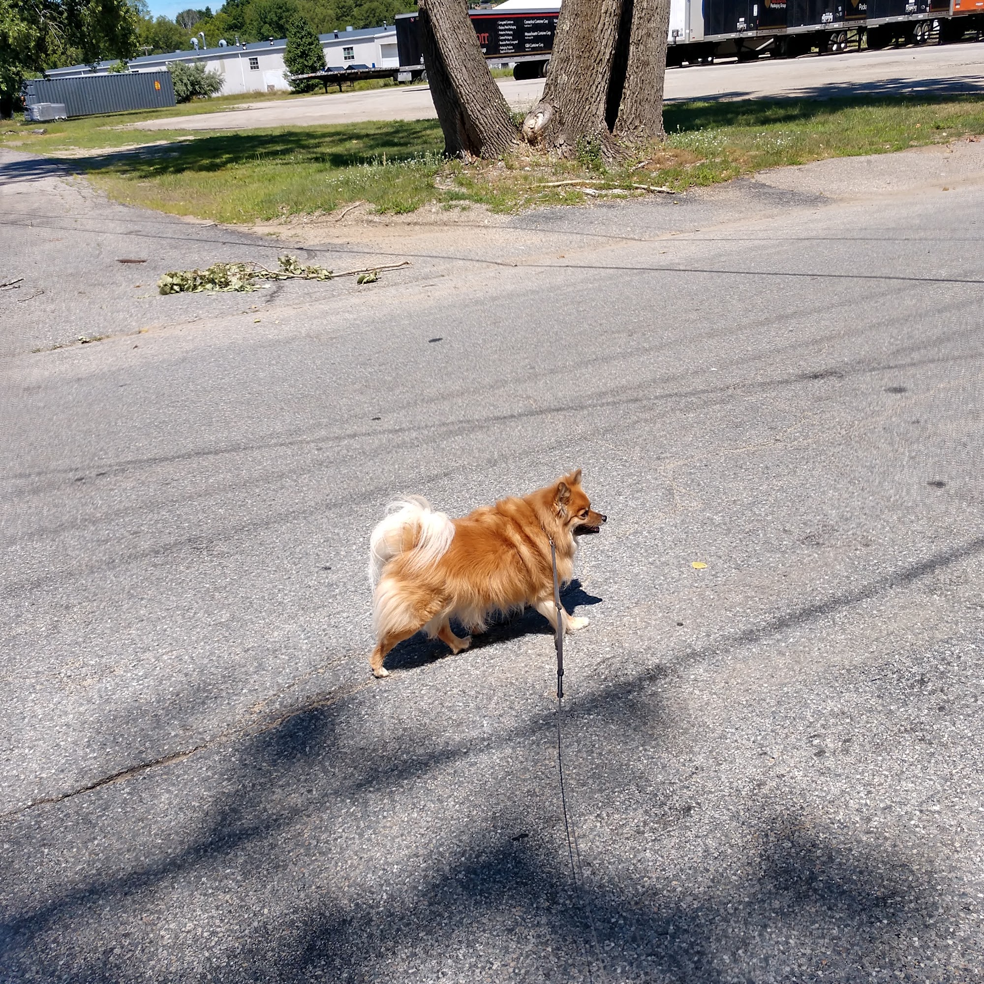 Pallflex Products Co Putnam