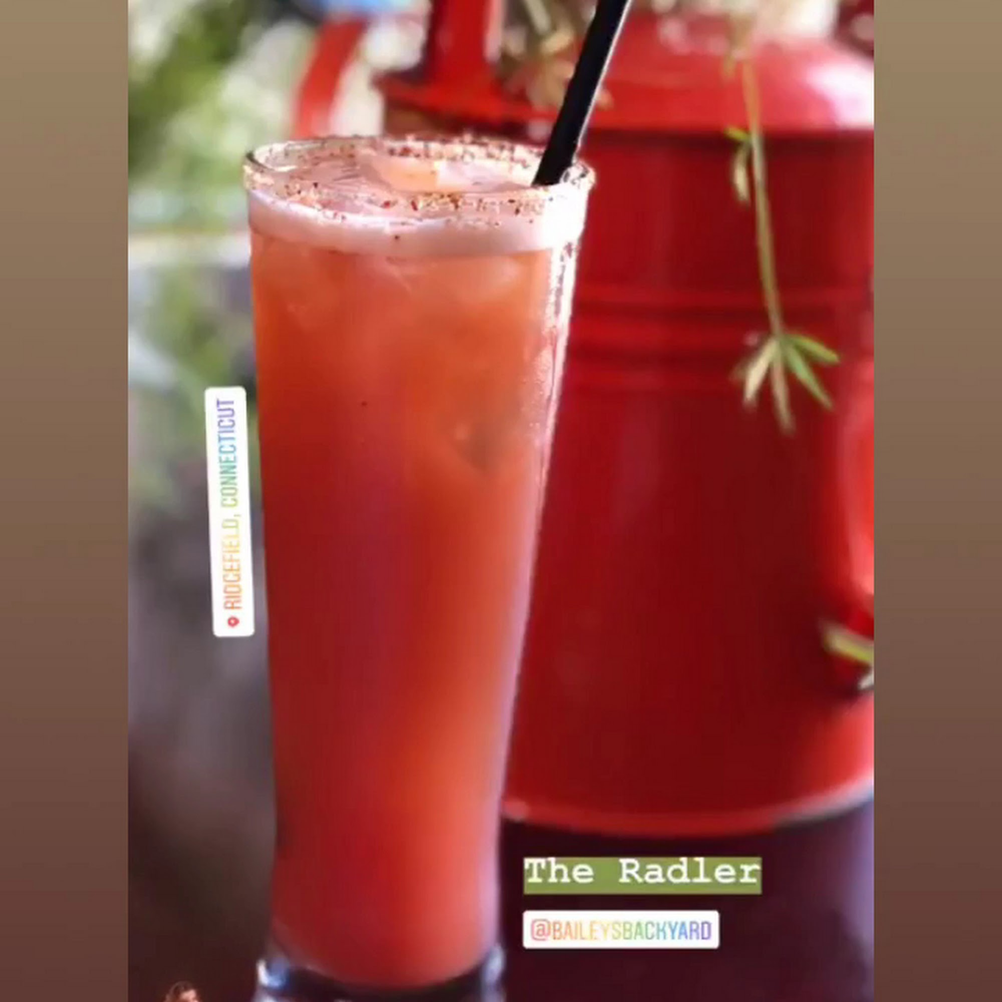 Bailey's Backyard Ridgefield