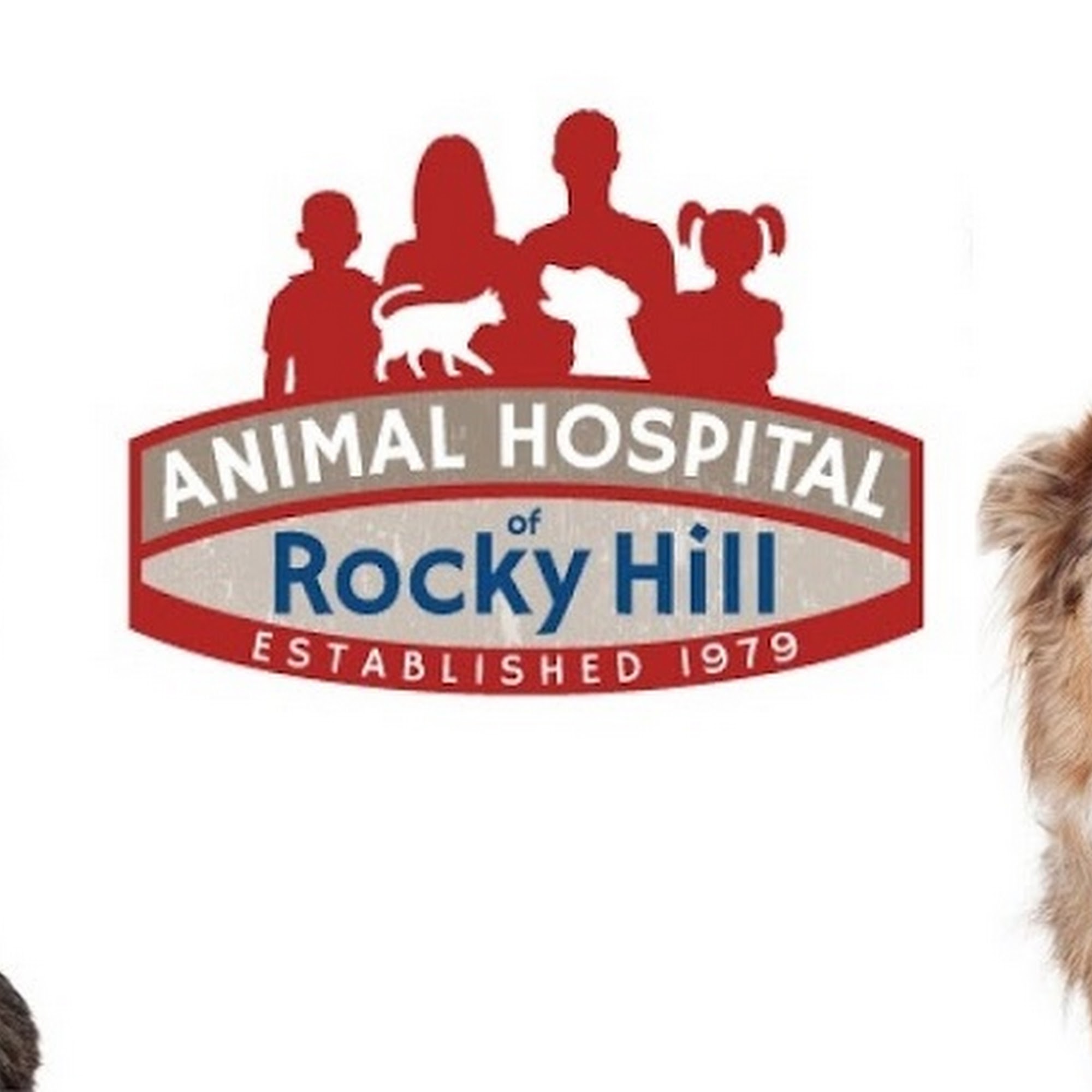 Animal Hospital of Rocky Hill Rocky Hill