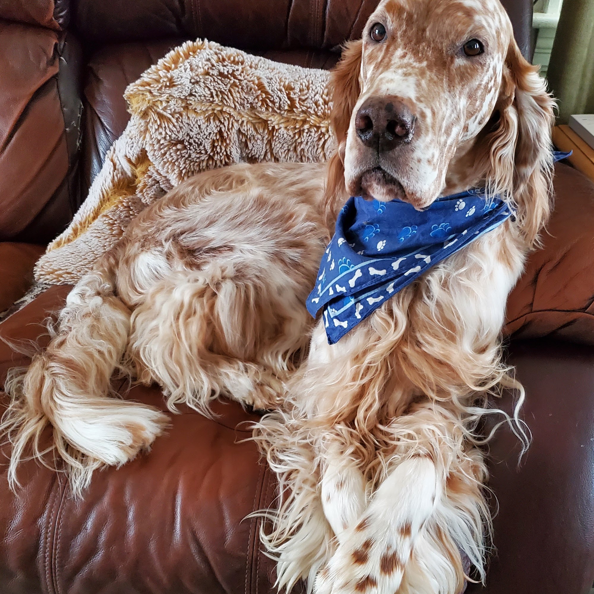 Salem Valley Veterniary Clinic: Isbell Amber N DVM Salem