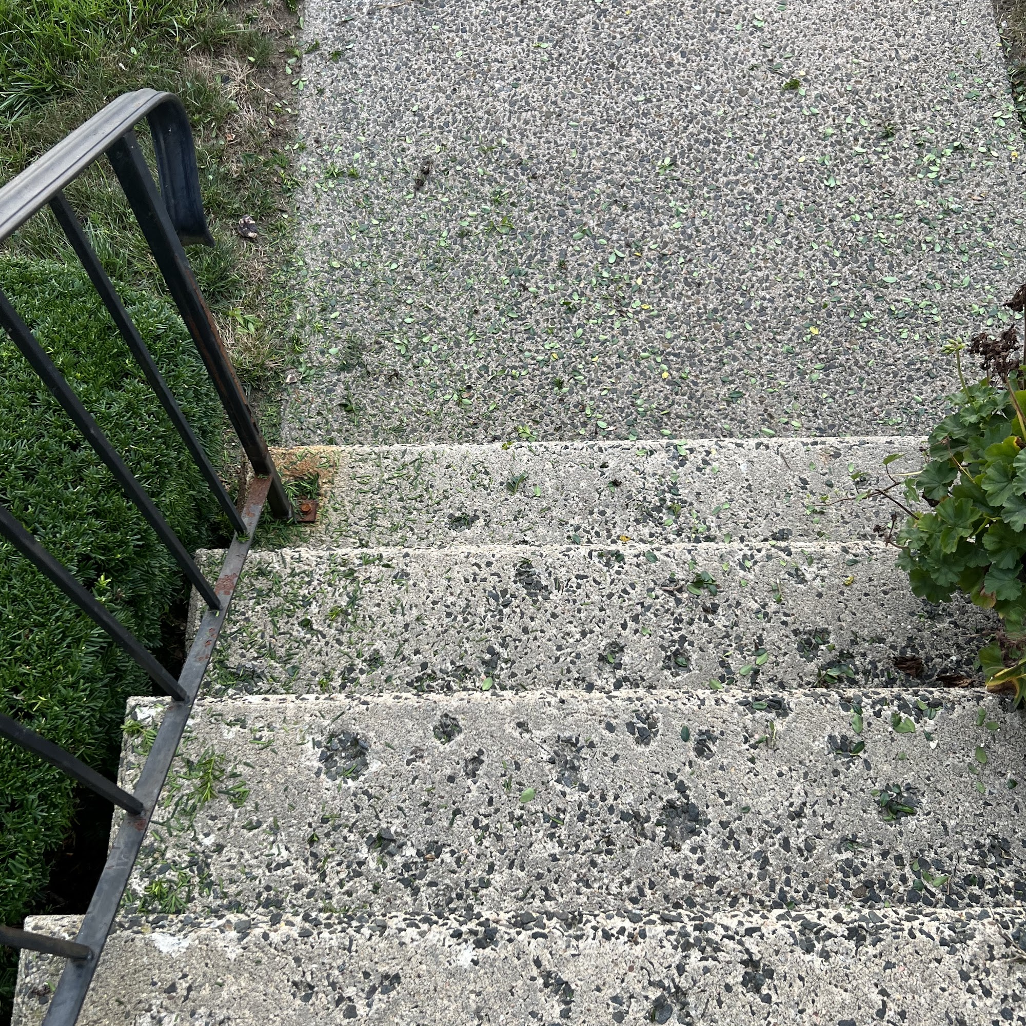 Paul's Landscaping Inc