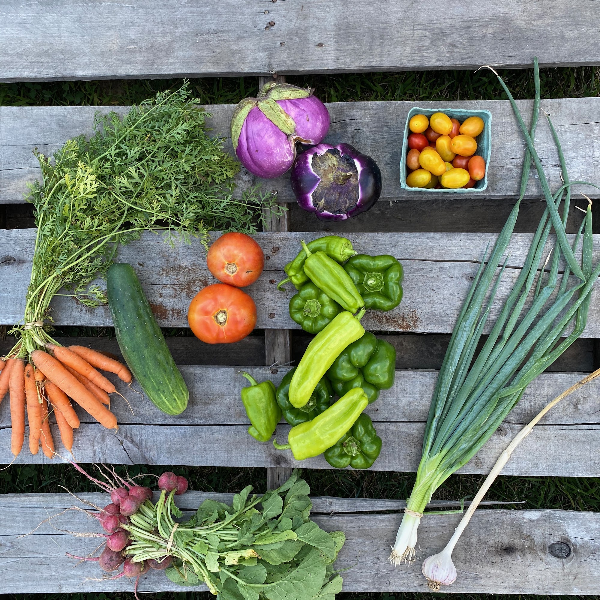 Laurel Glen Farm Shelton