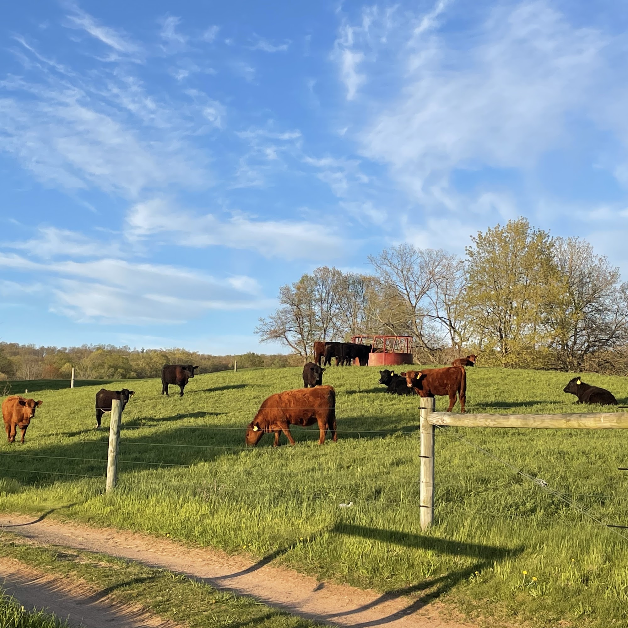 Pleasant View Farms INC Somers