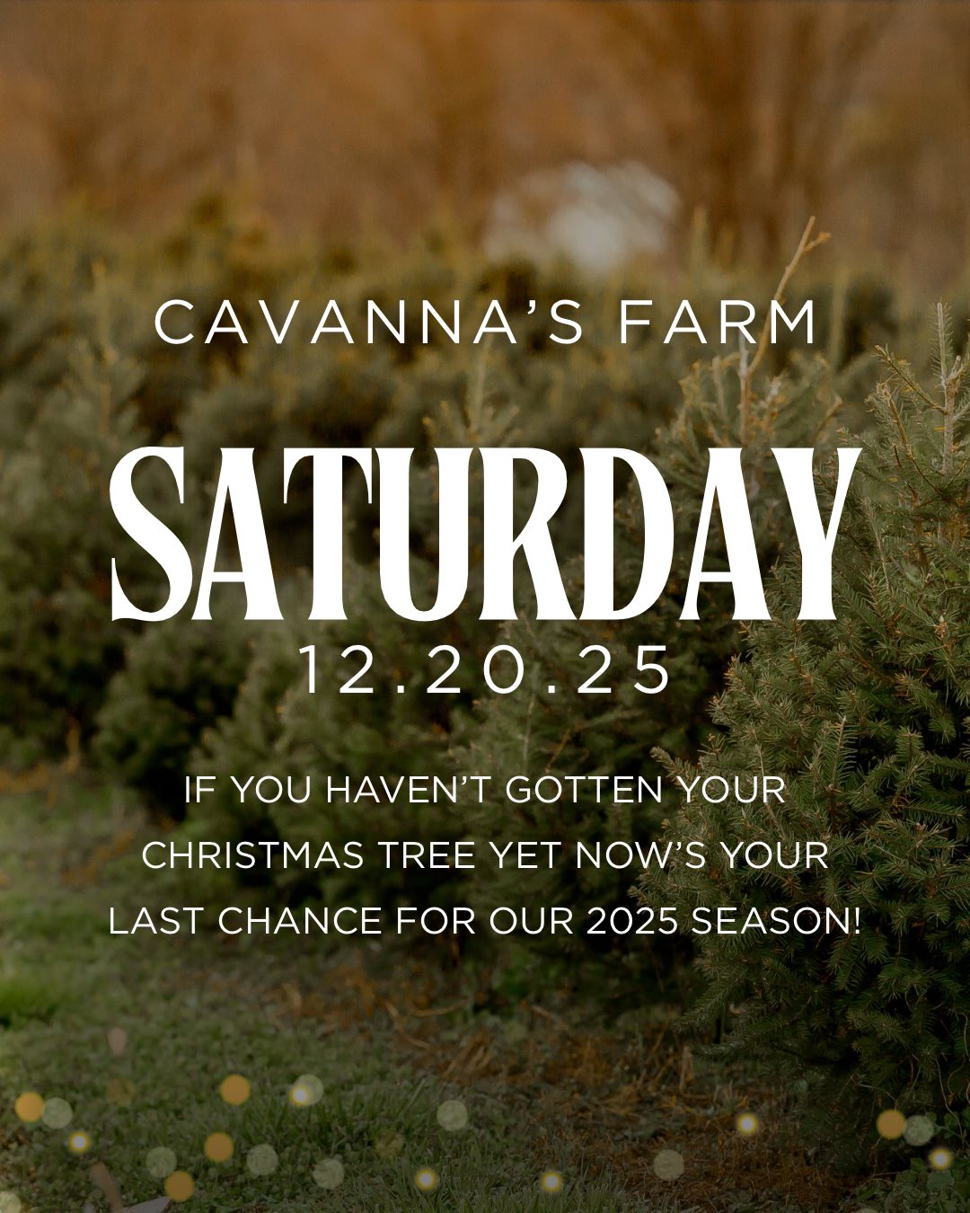 Cavanna's Farm South Glastonbury