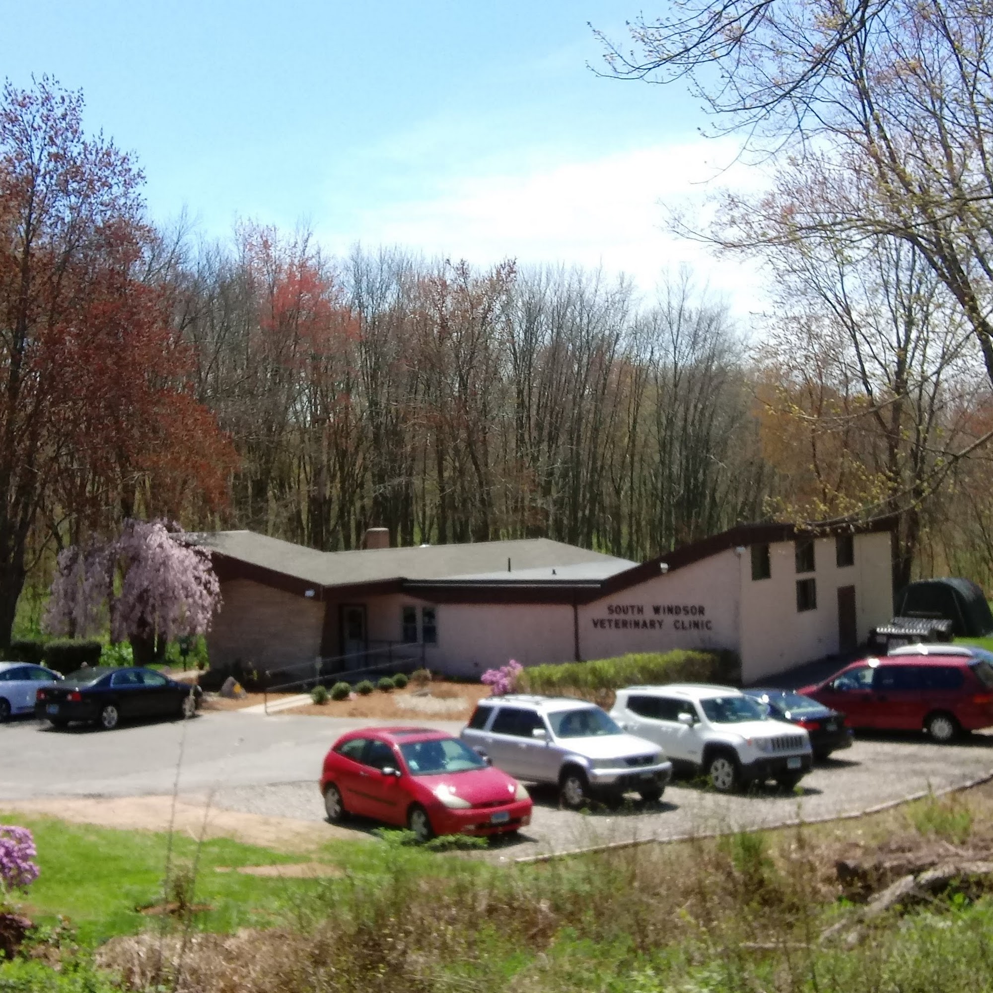 South Windsor Veterinary Clinic South Windsor