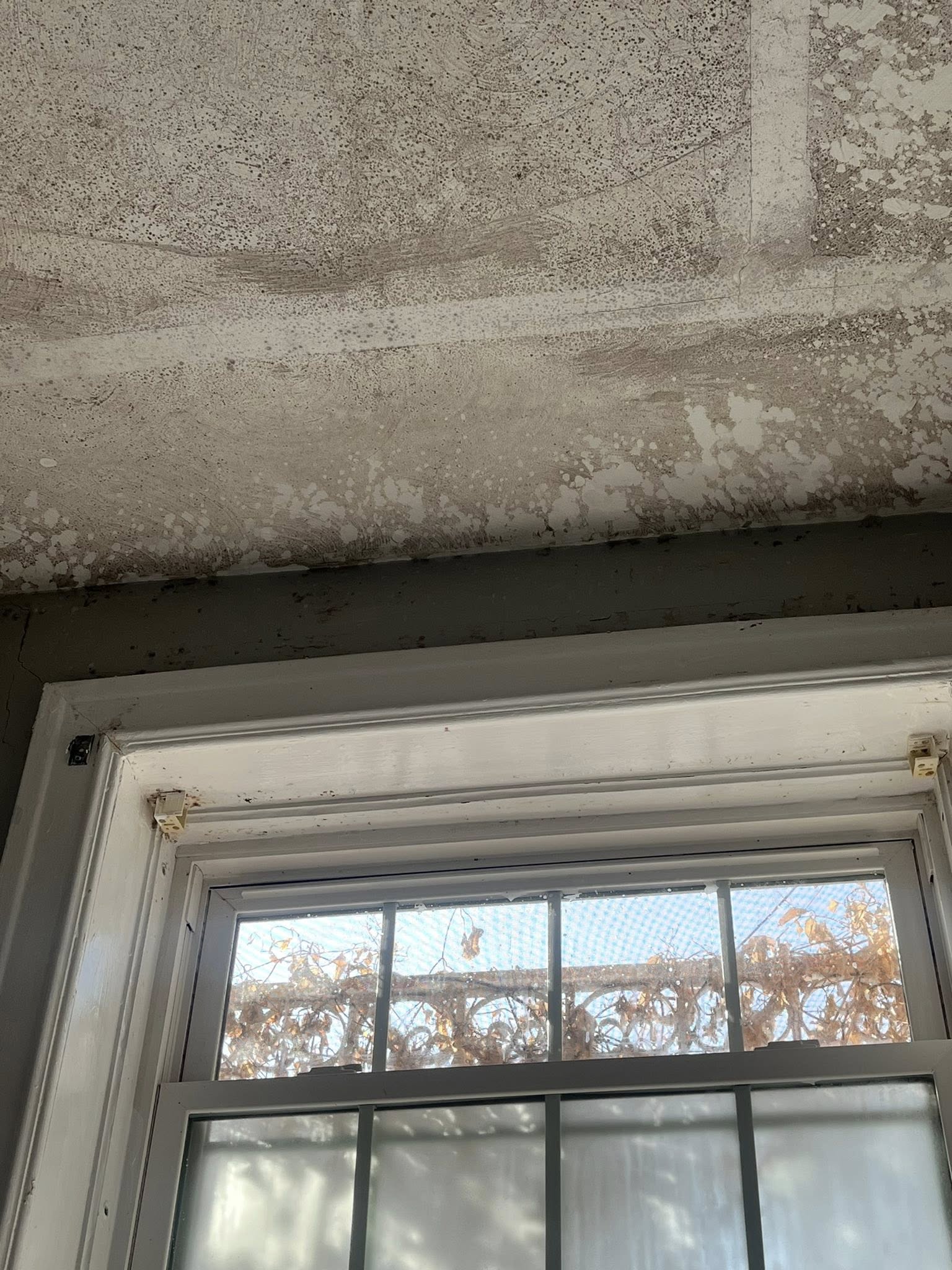 Unique Cleaning LLC 267 Pin Oak Dr, Southington Connecticut 06489