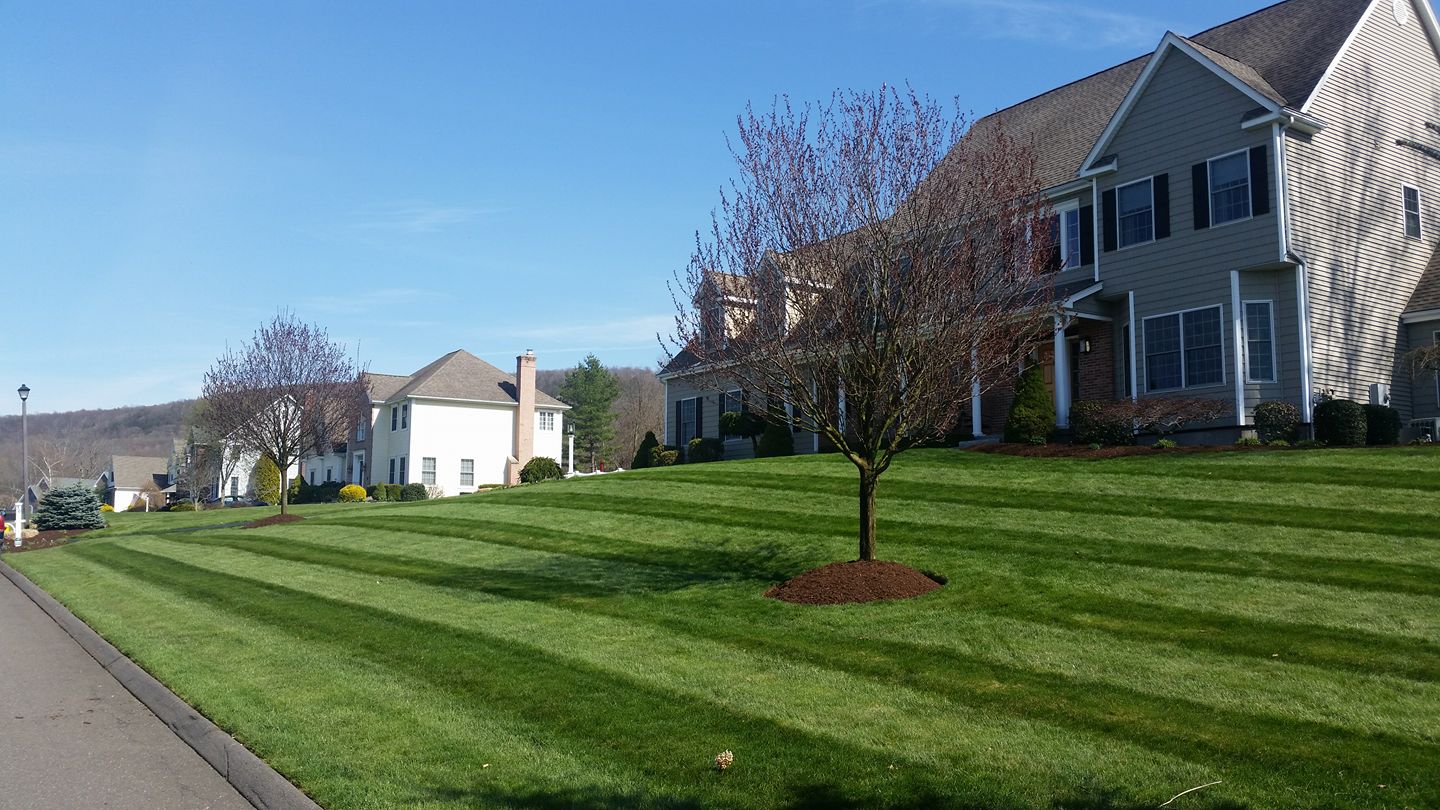Apple Valley Lawn Care