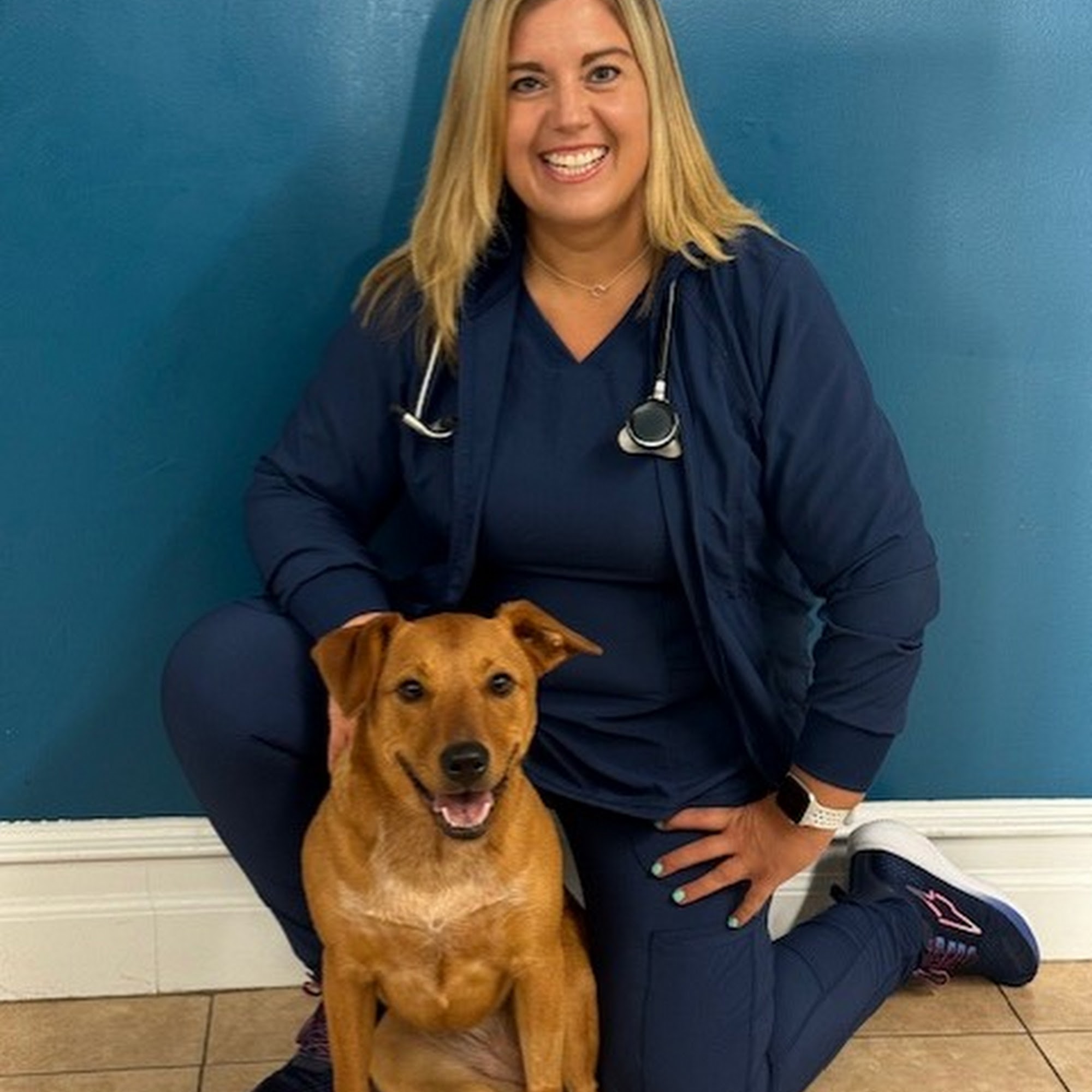 Stamford Veterinary Center & My Pet Lodge Stamford