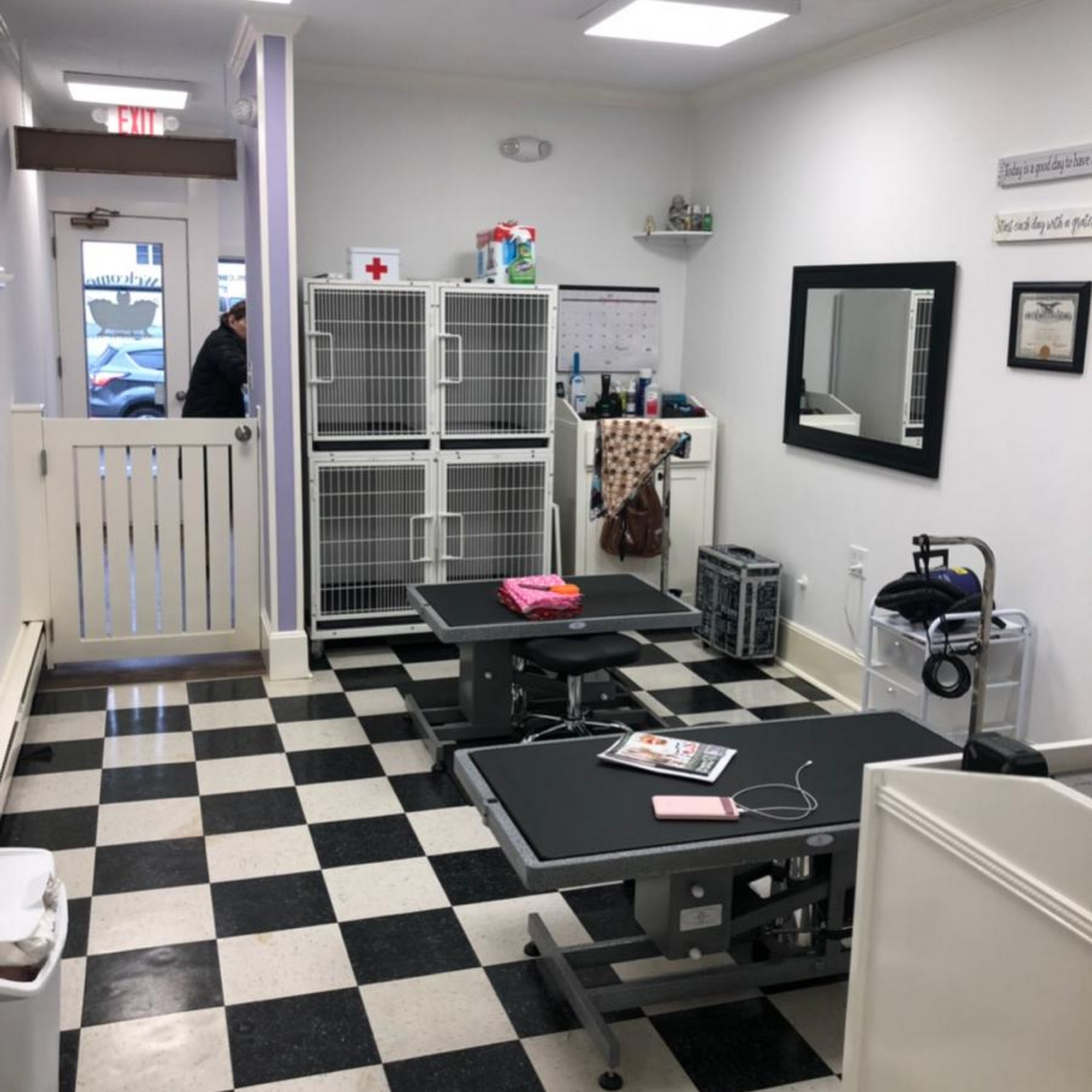 Groom To Bloom Dog Salon Stamford