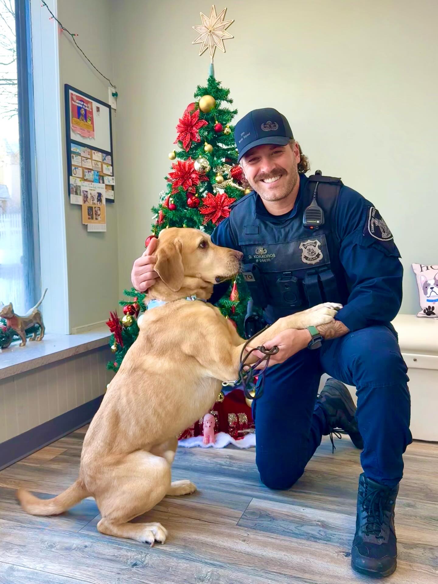 Woof To Purrfection Stamford