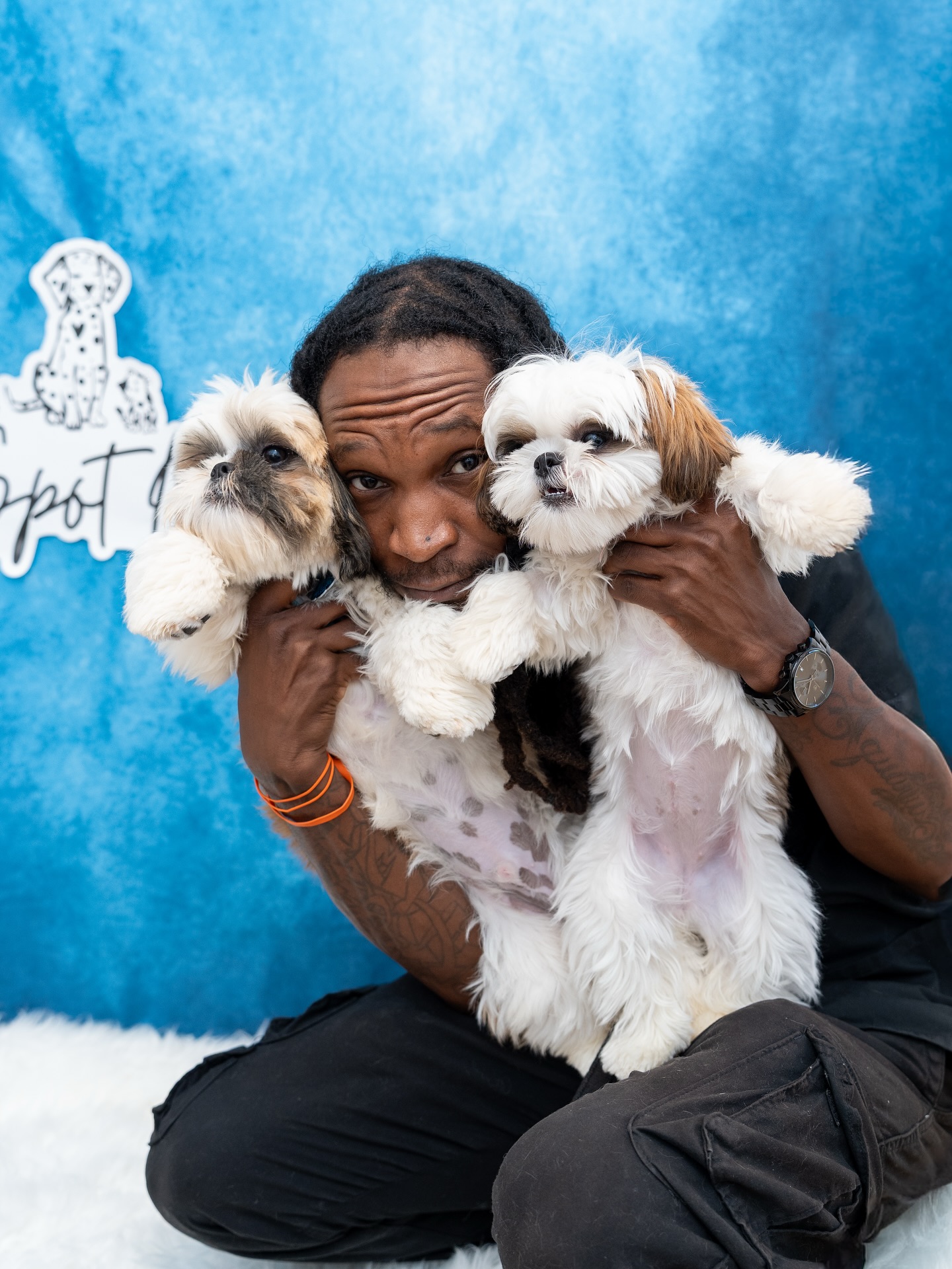 Spot On Veterinary Hospital & Hotel Stamford