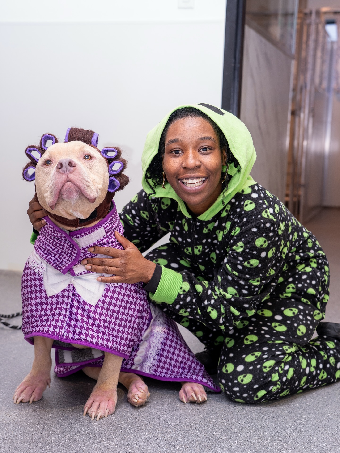 Spot On Veterinary Hospital & Hotel Stamford