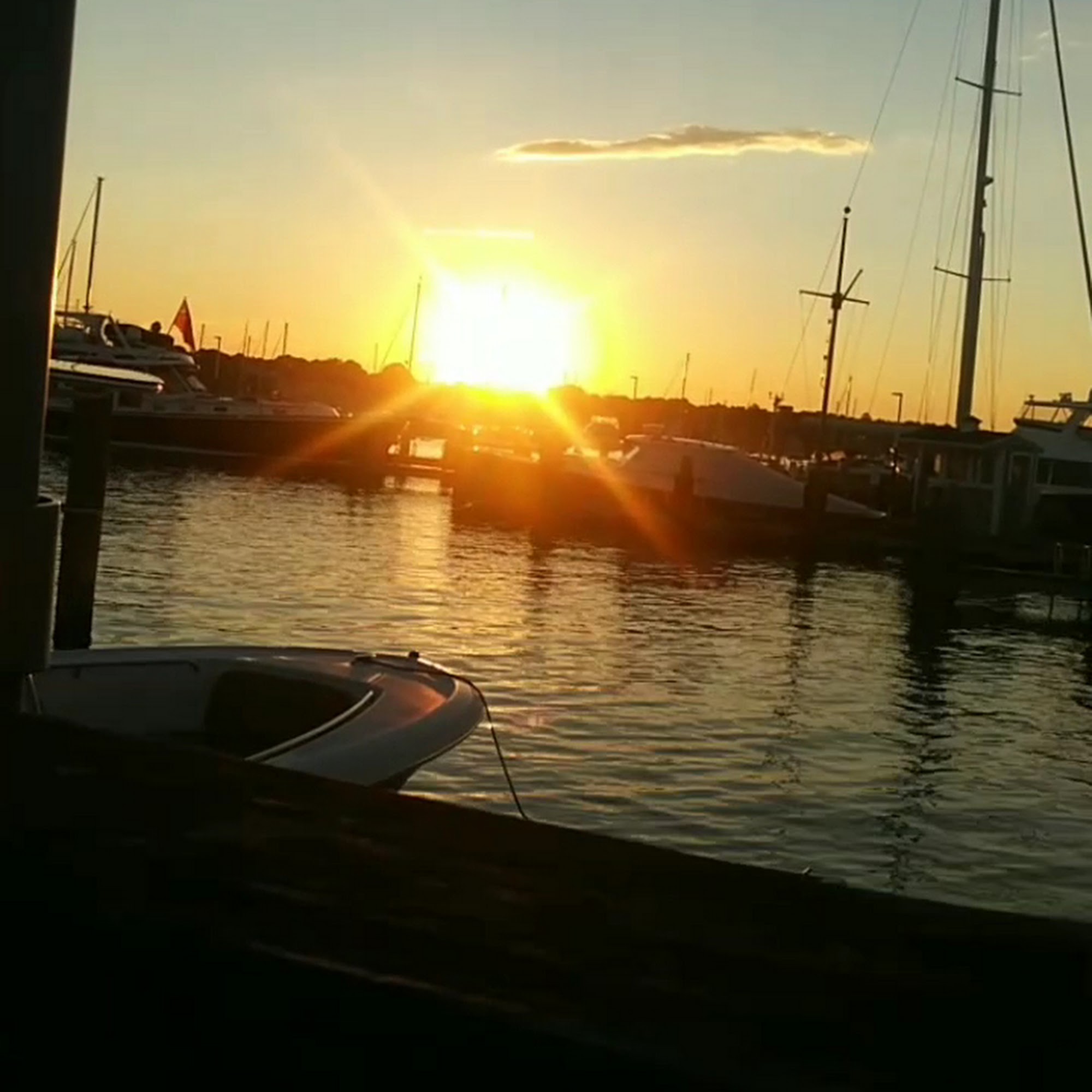 Dog Watch Cafe Stonington