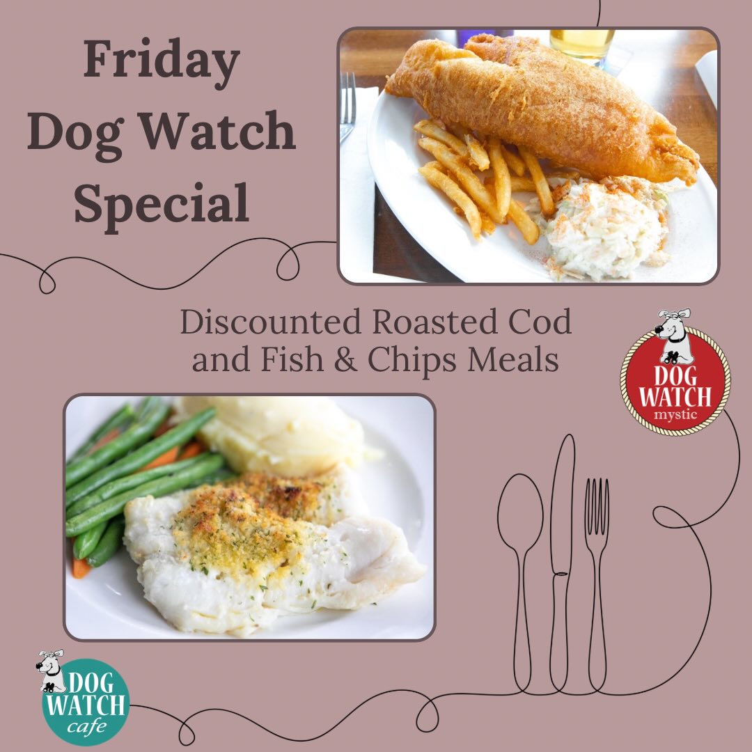 Dog Watch Mystic Stonington