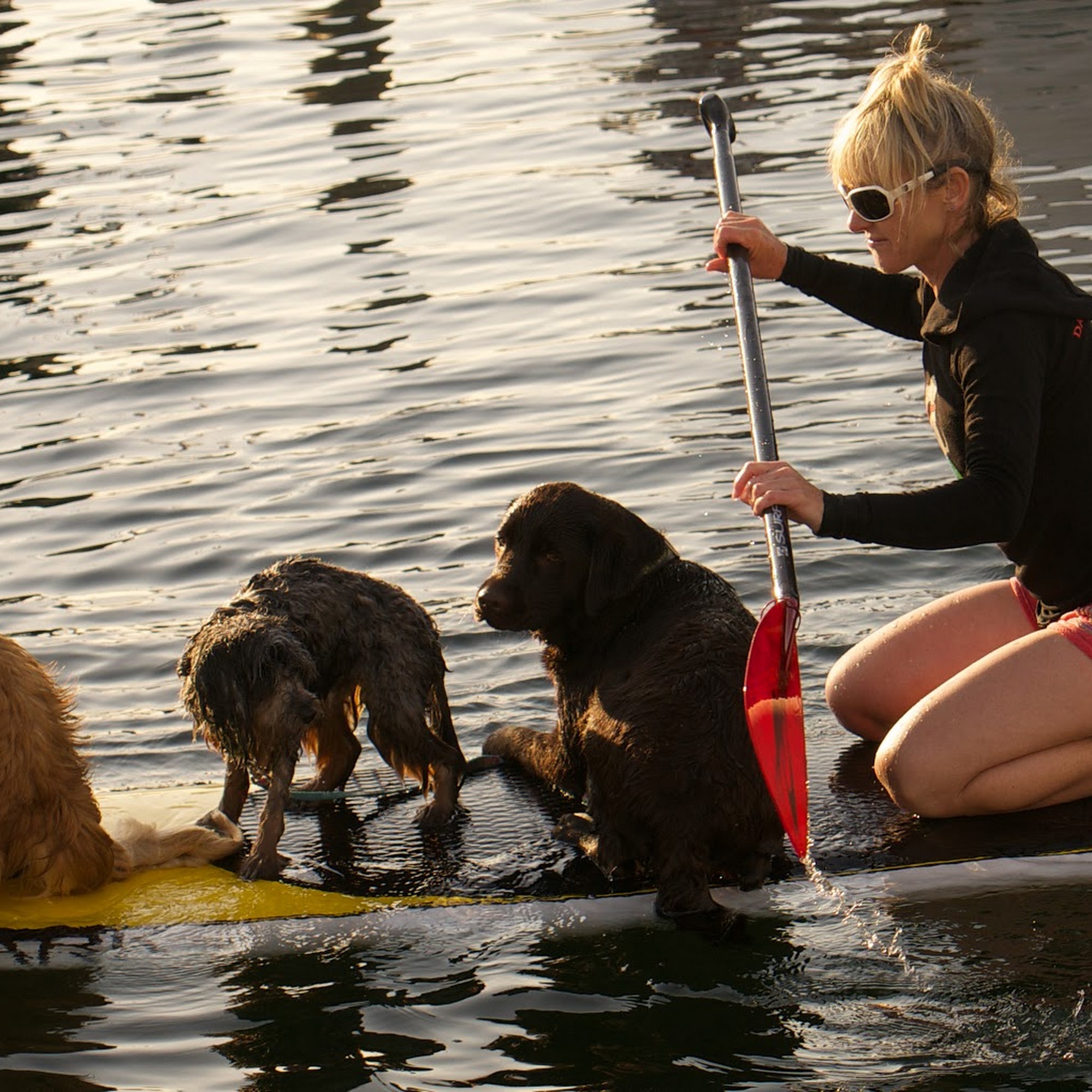 Rhodes Collar Stonington